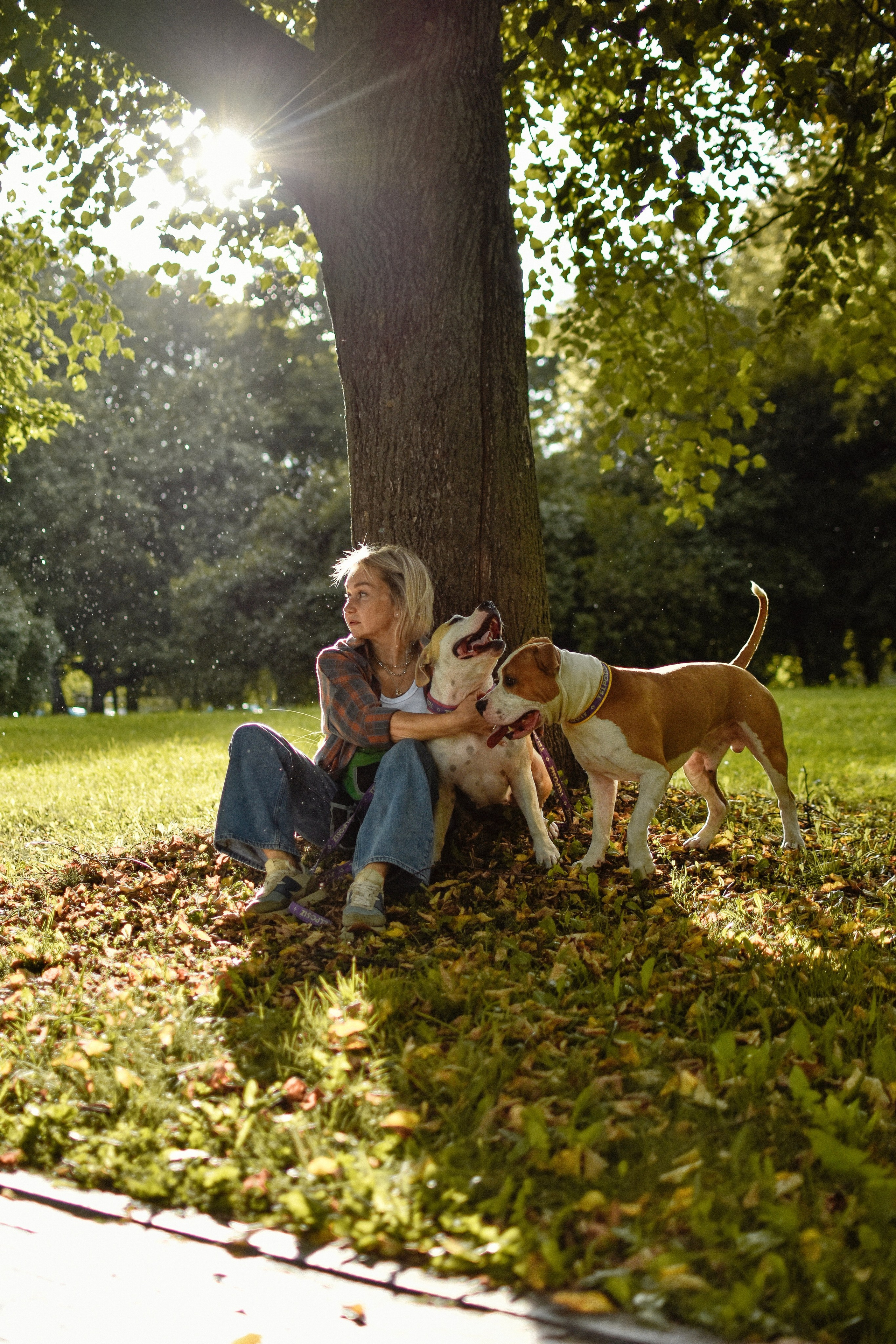 Стив, Стеша и Маша. Фотограф-анималист Ксения Шевцова|Москва