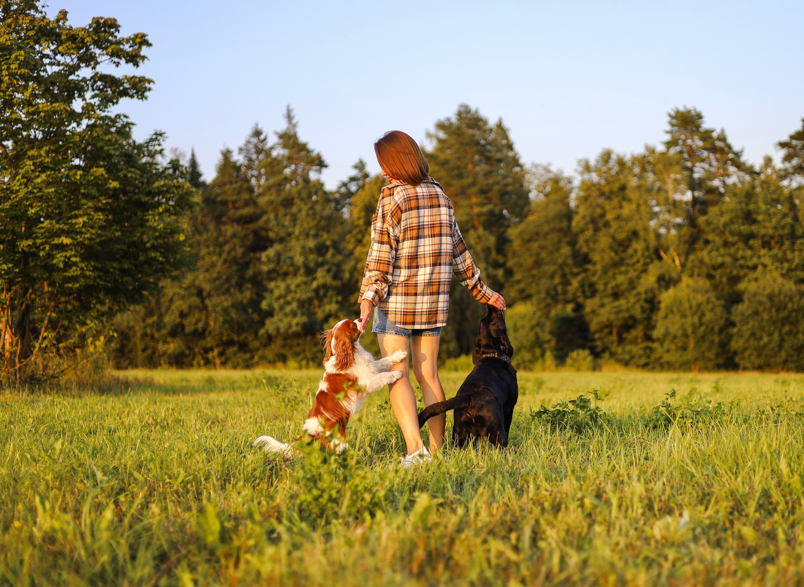 Бонни, Лея и Лера. Фотограф-анималист Ксения Шевцова|Москва