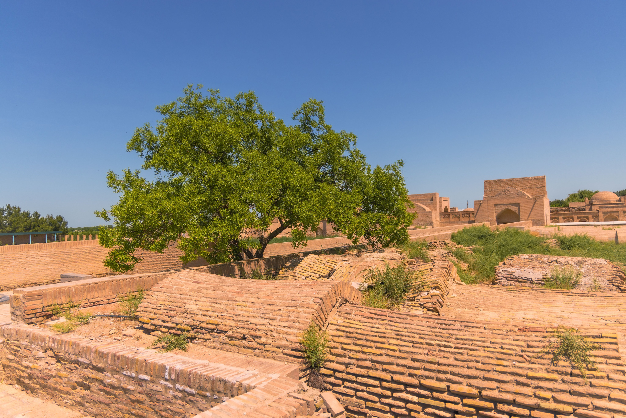 Узбекистан в мае. Sysoevaoksana