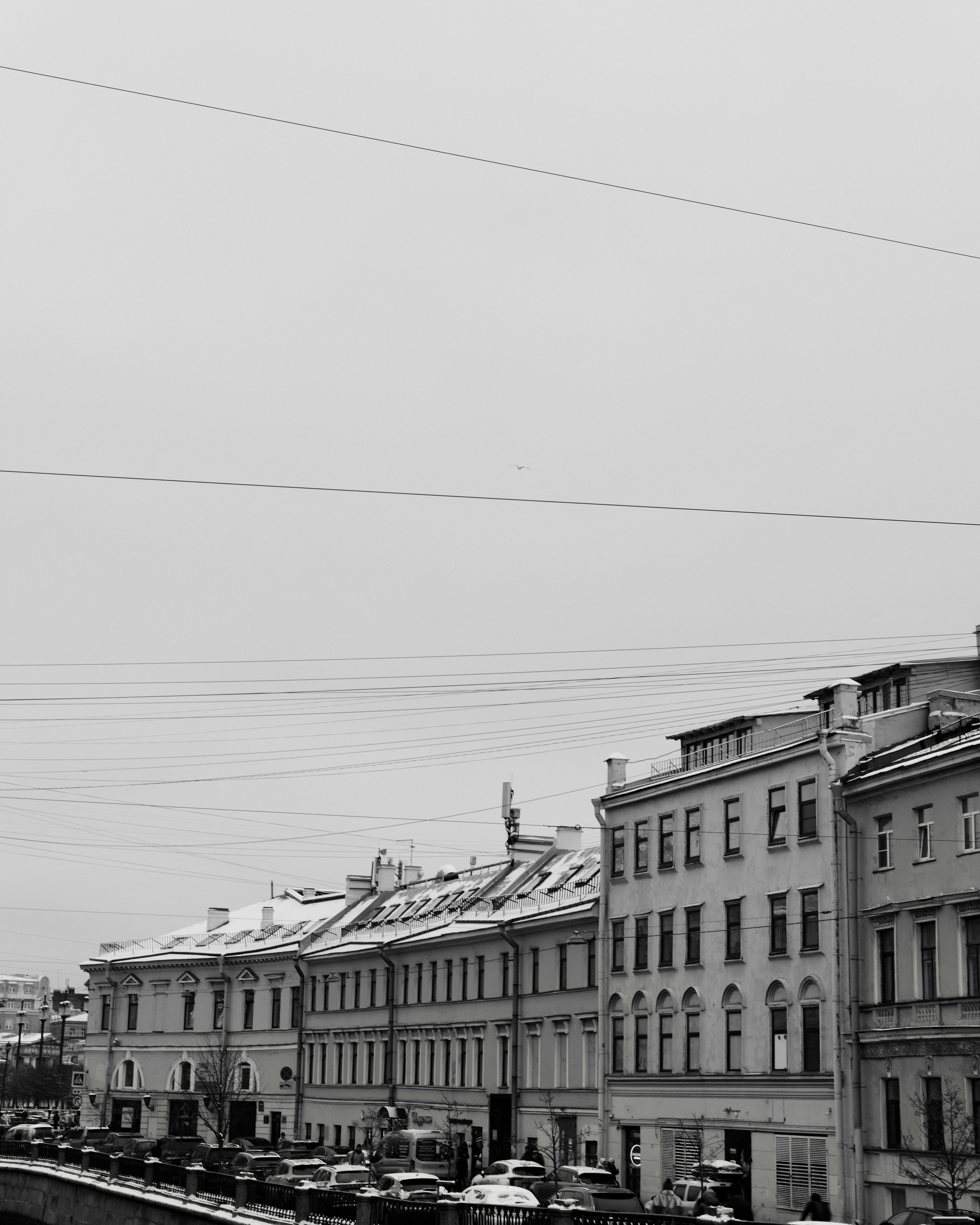 Санкт-Петербург. BELABONKA