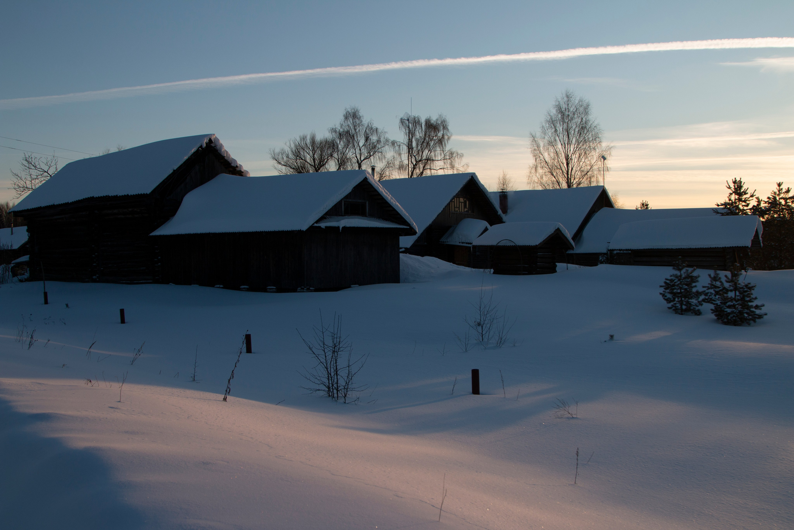 Фото. Фотограф Лагутин Анатолий