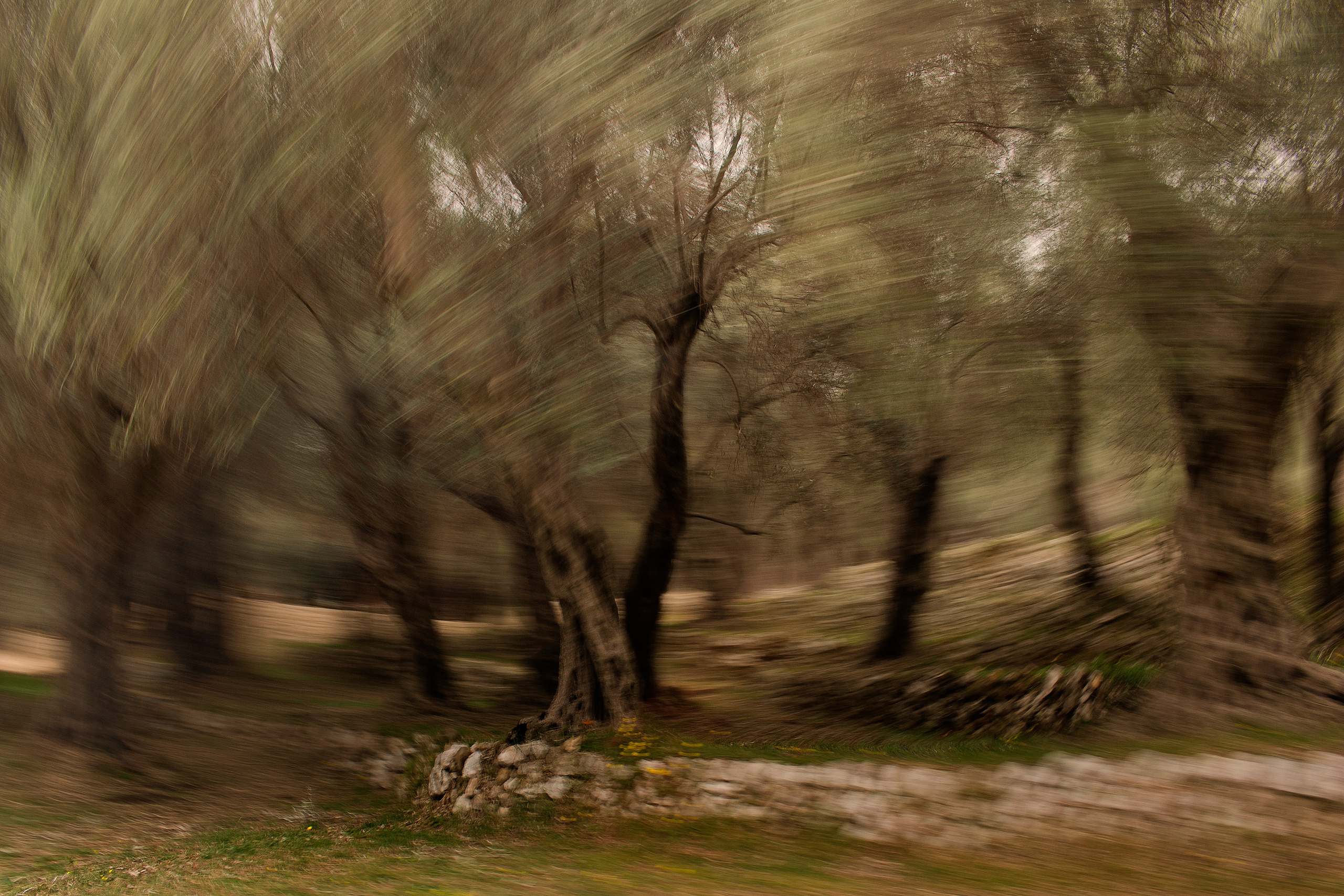 Выдержка. Фотограф Лагутин Анатолий