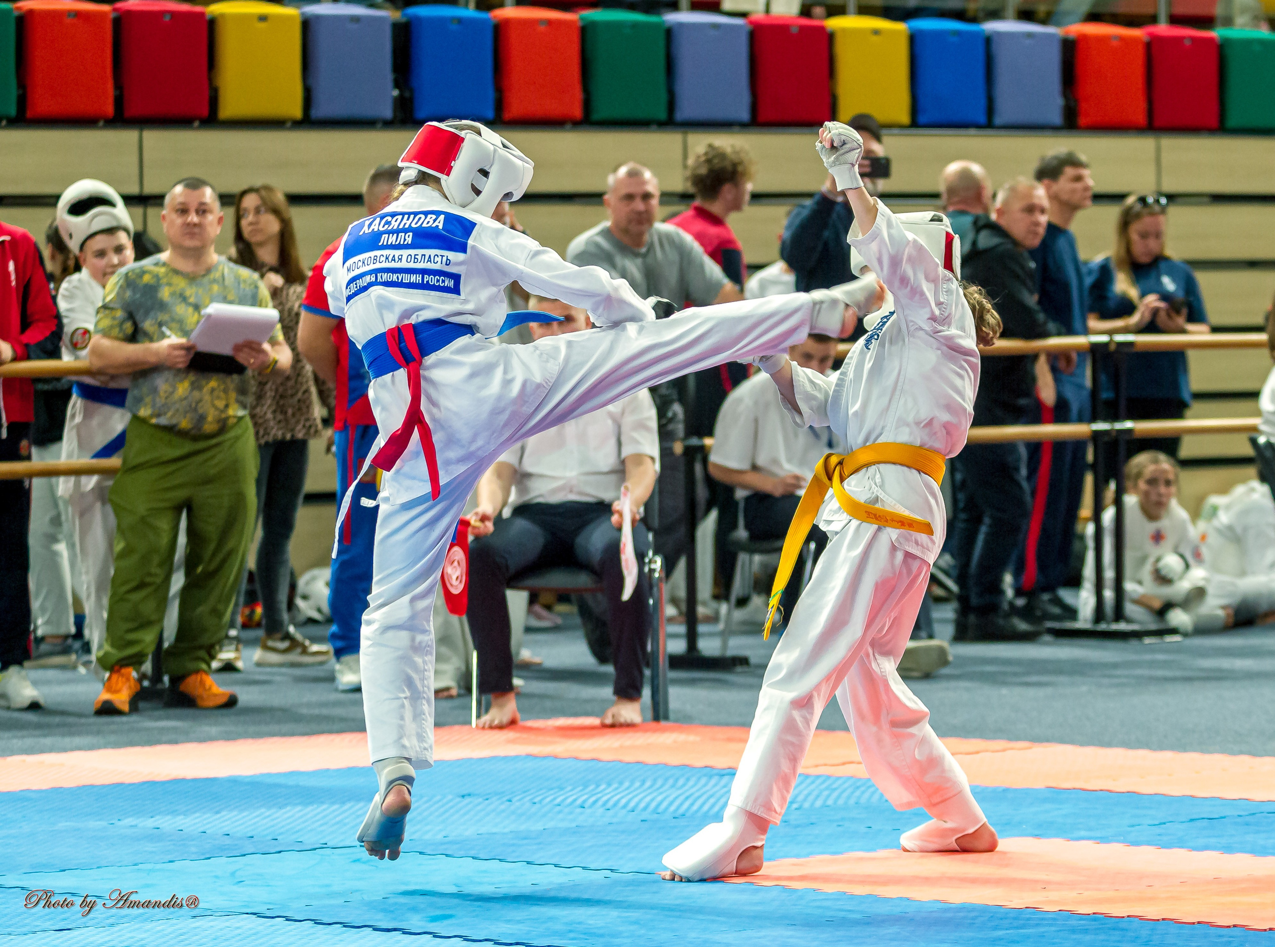 Первенство Московской области по Киокушин в СК «Жаворонки». Репортажная съемка в Москве и области. Анималистика