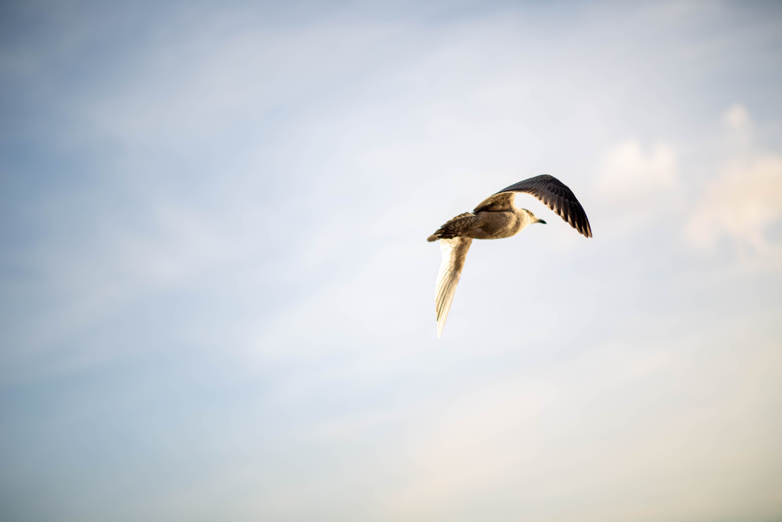 Мурманск. Репортажный и портретный фотограф Михаил Мартиросян