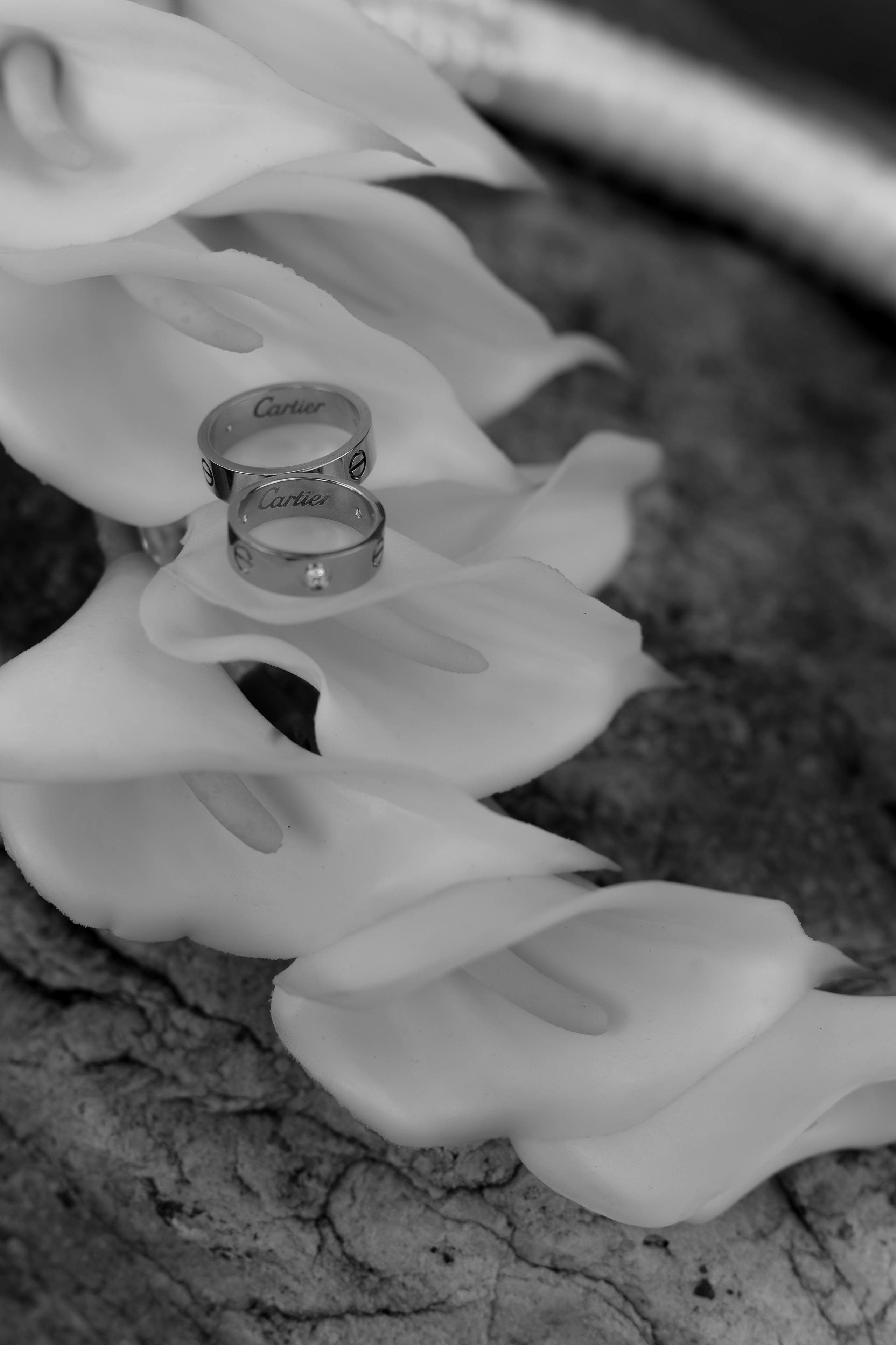 Свадьба Ивана и Ольги. Фотограф Кольчугино/Владимир/Москва Елизавета Иода