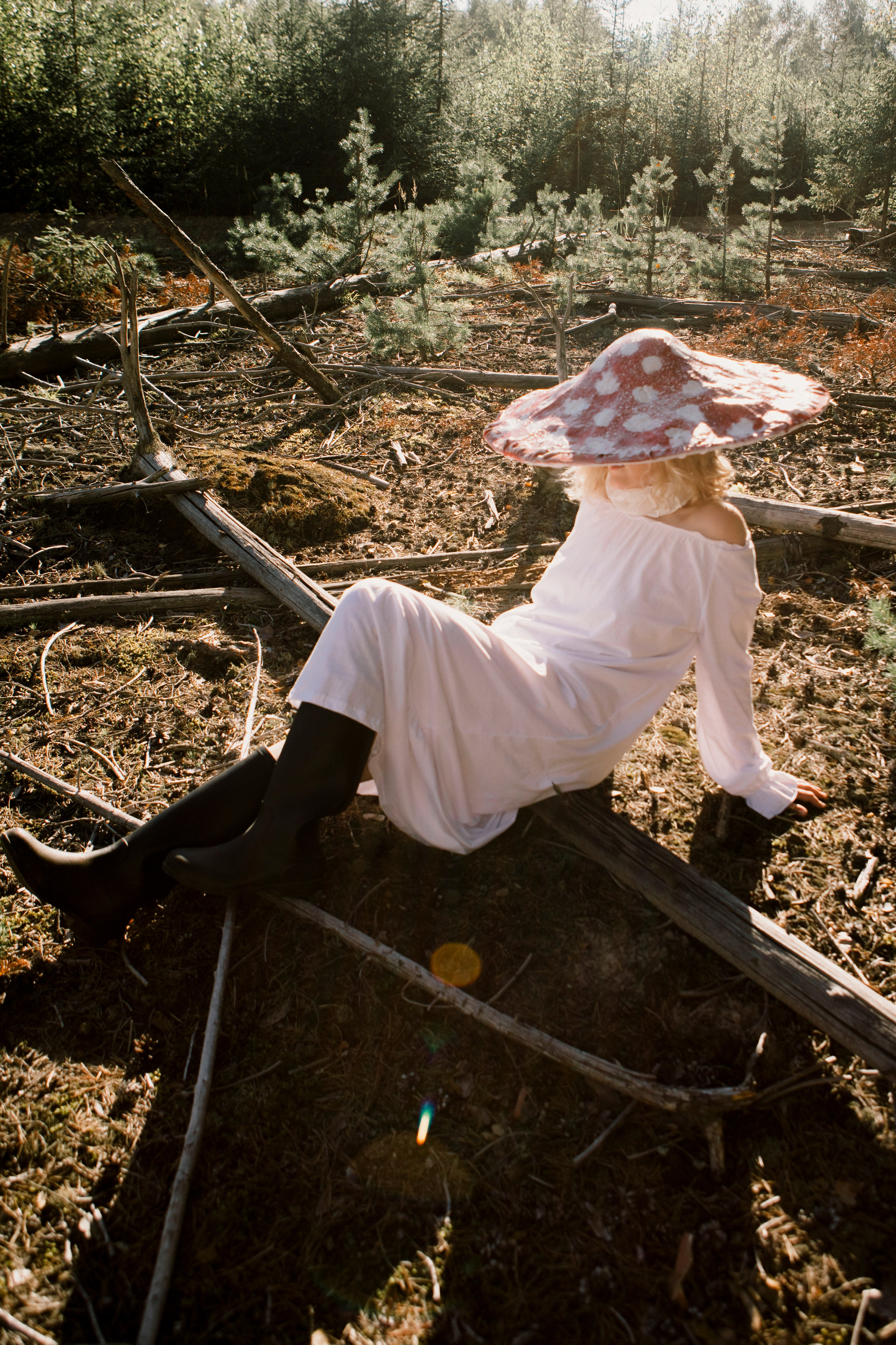 Грибы. Ольга Пилант. АРТ, бэкстейдж, свадебная и семейная фотография, городской портрет, интерьерная фотография
