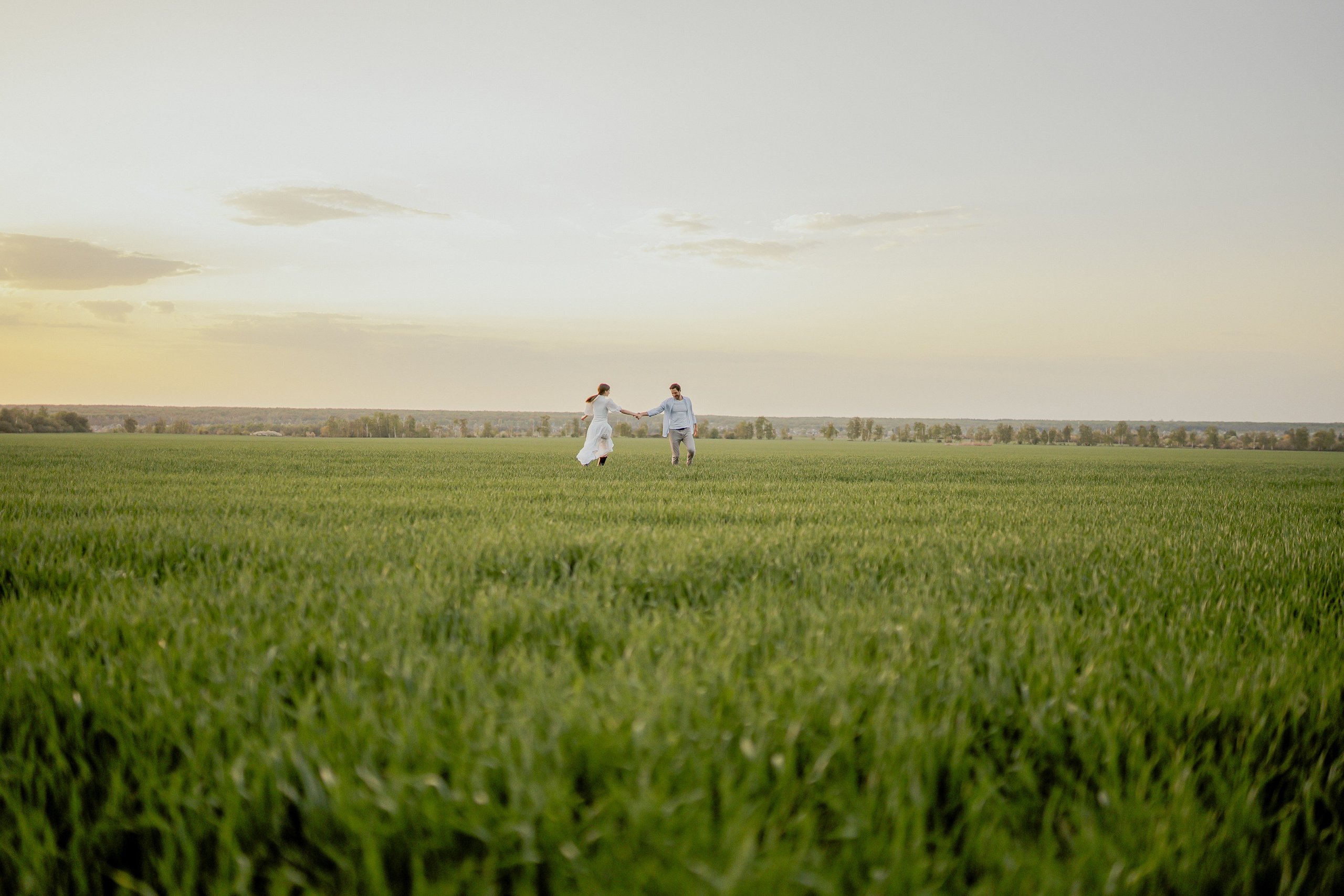 Поле. Фотограф Мария Зайчик