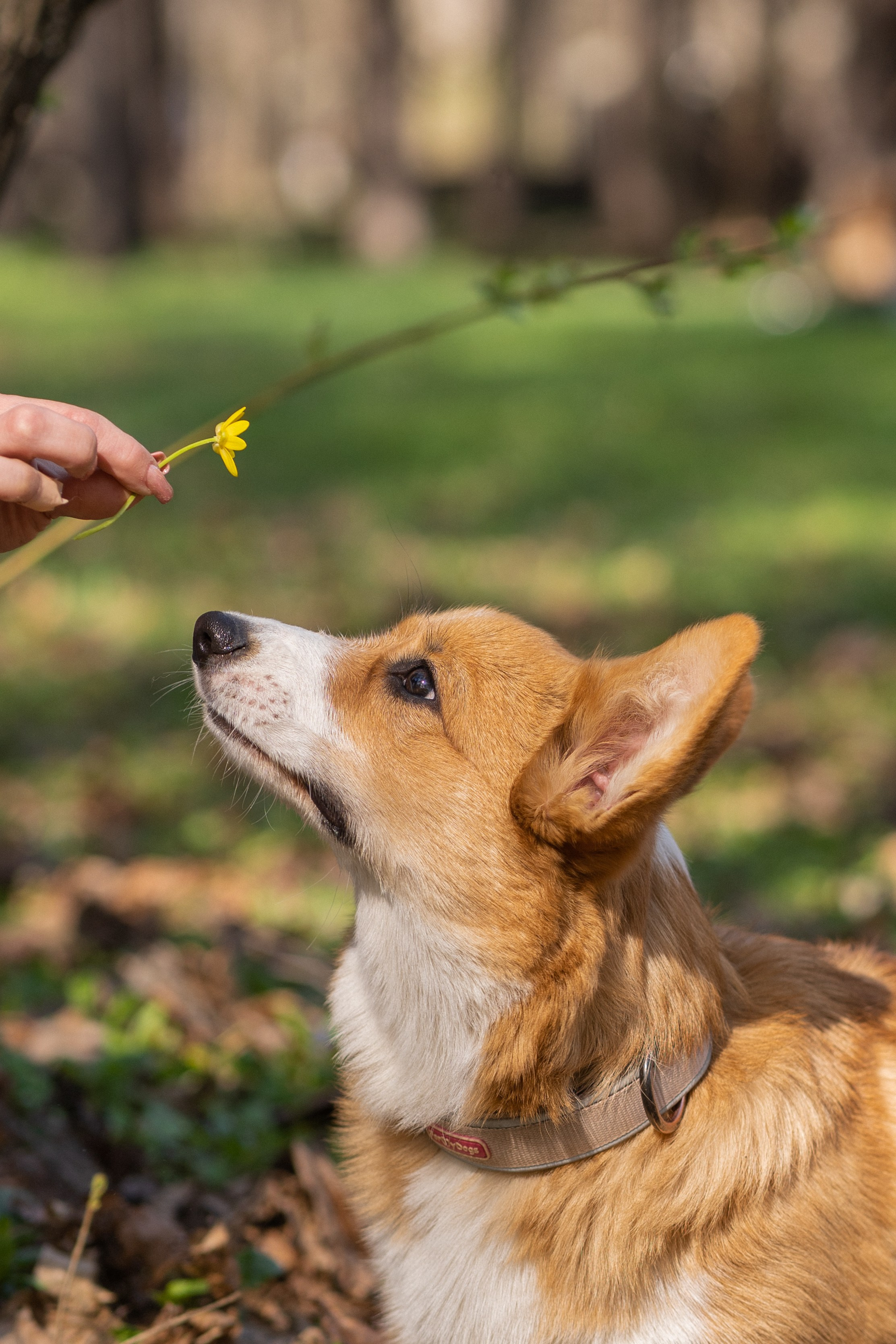 Саша, Настя, Луна. Свадебный фотограф в Москве Анна Полушина