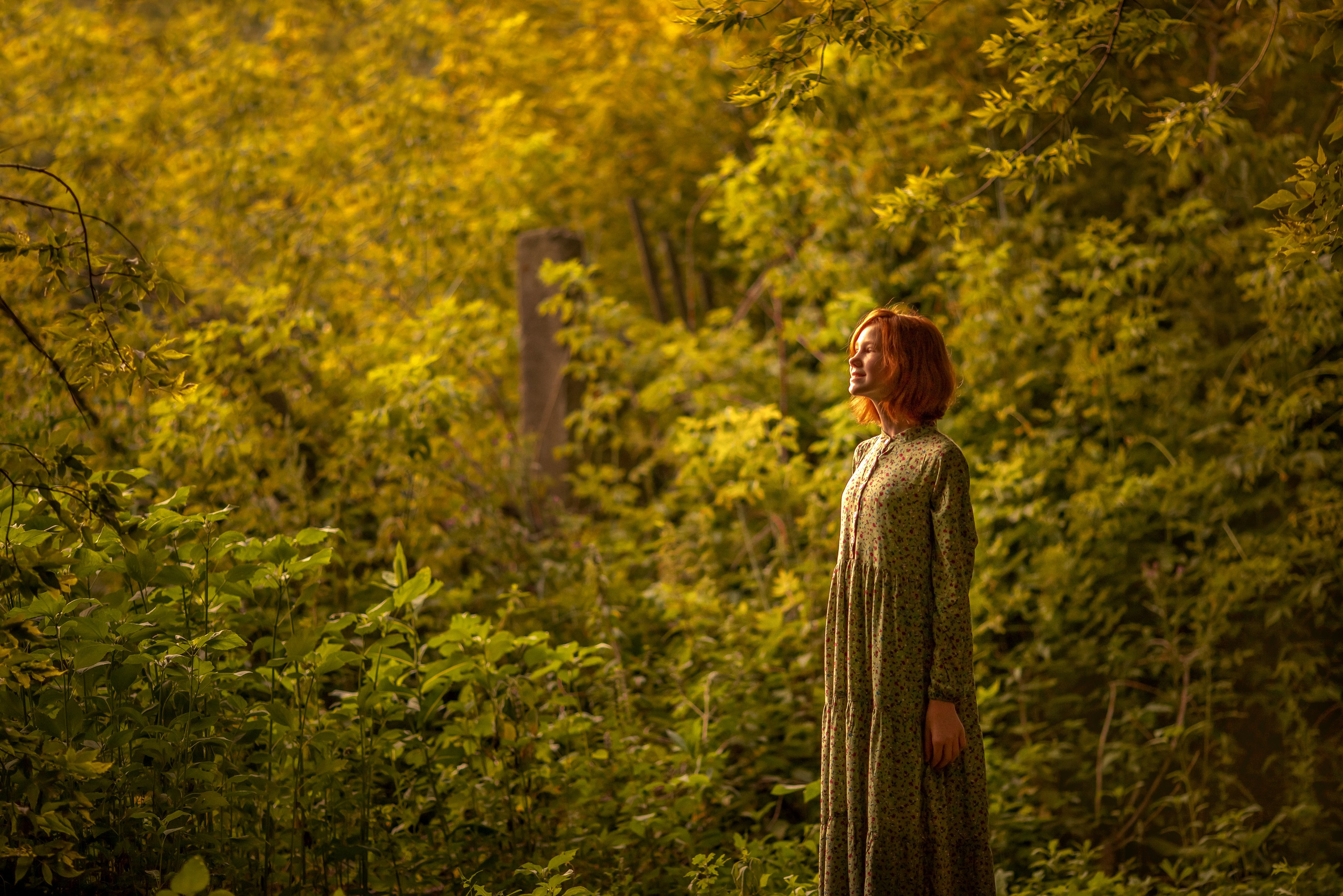 Летняя прогулка с ромашками. Ольга Смирнова юрист, фотограф