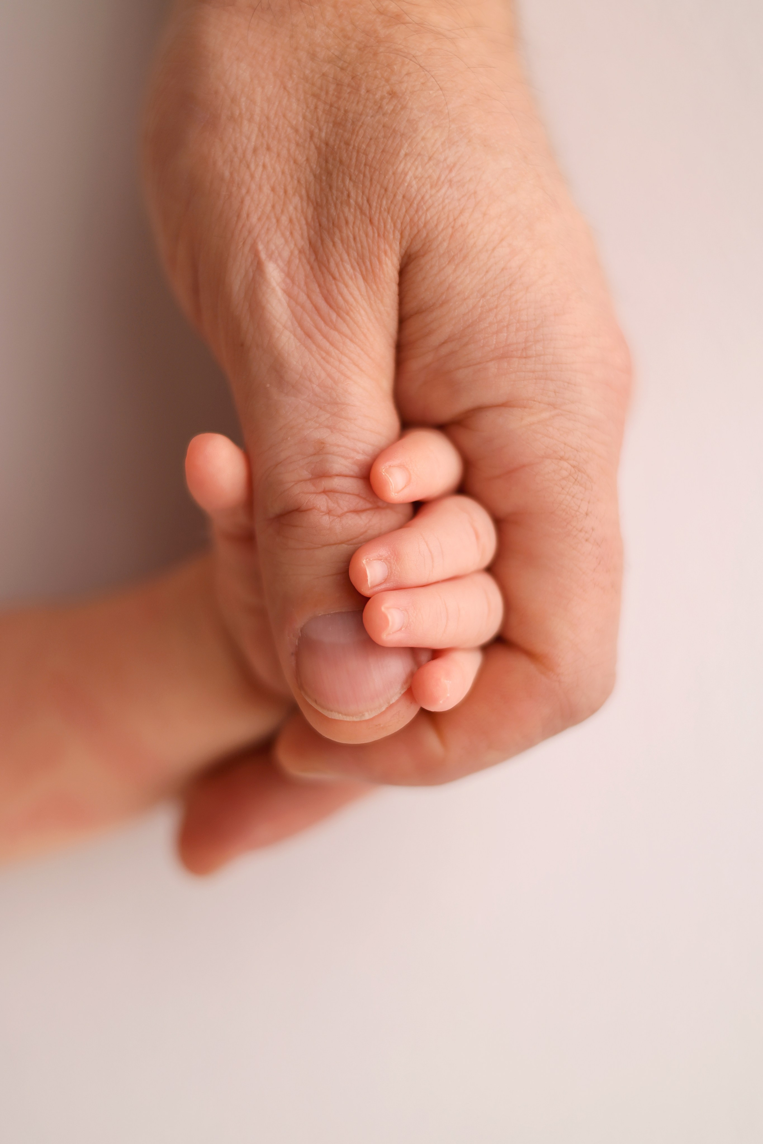 Ньюборн фотосъемка Насти. Фотограф новорожденных в Москве. Фотограф новорожденных Москва. Ньюборн фотограф Москва