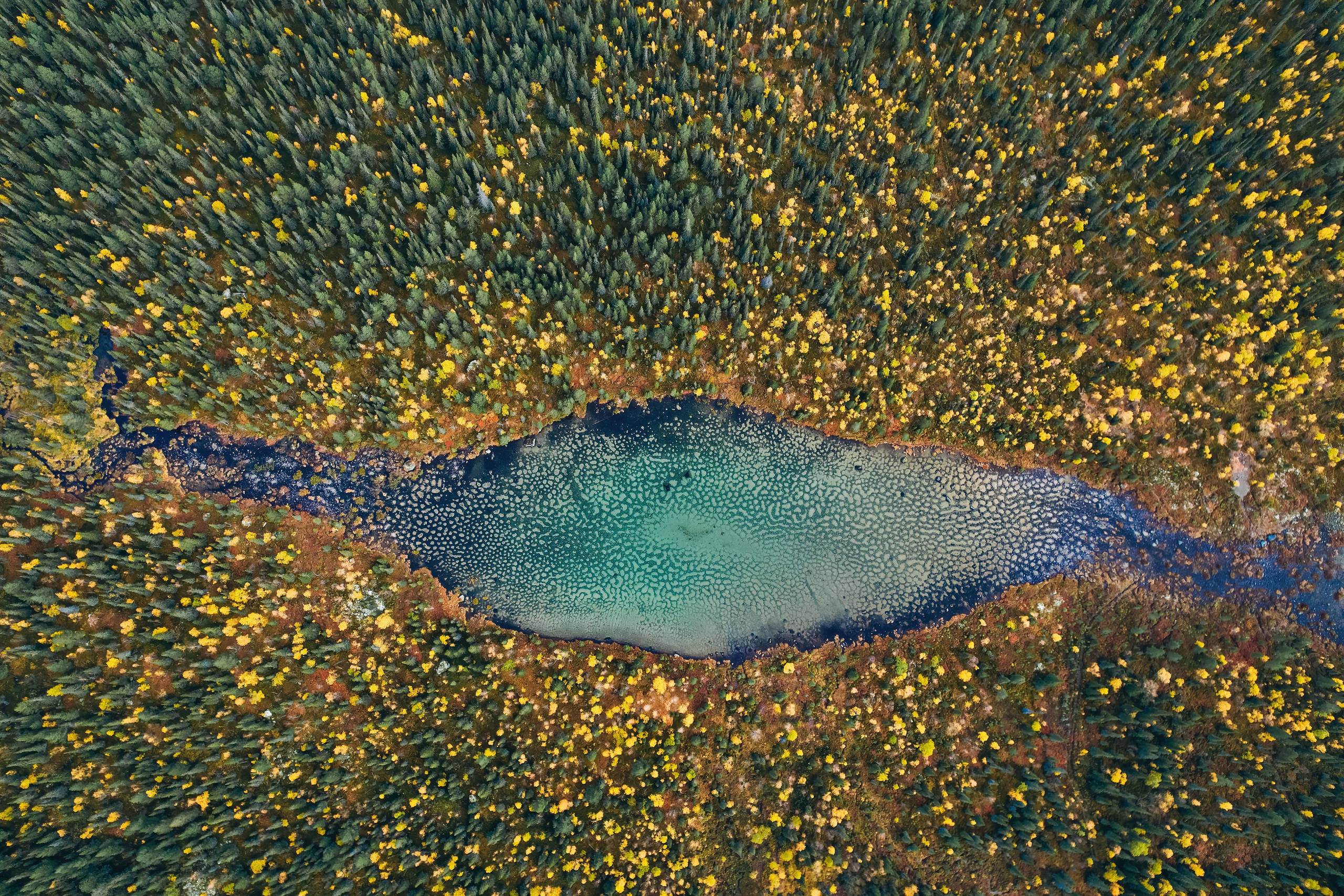 СЕВЕР. Event фотограф Степанова Александра