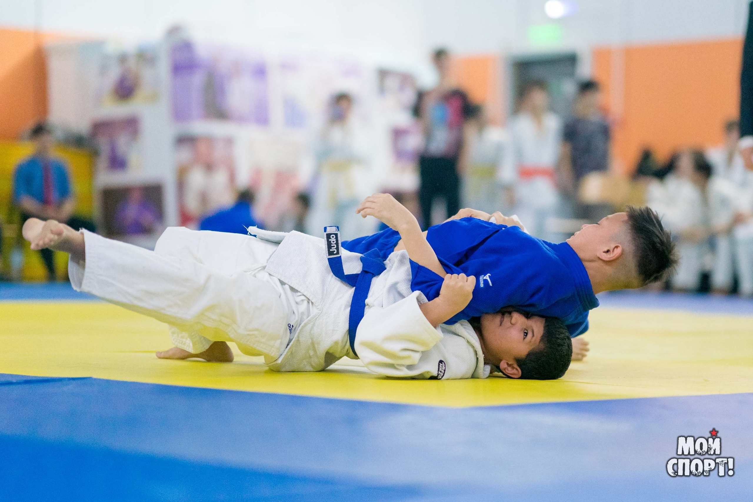 Кубок и первенство РС (Я) по дзюдо. Студия «Мой Спорт!» — все о спорте в Якутии