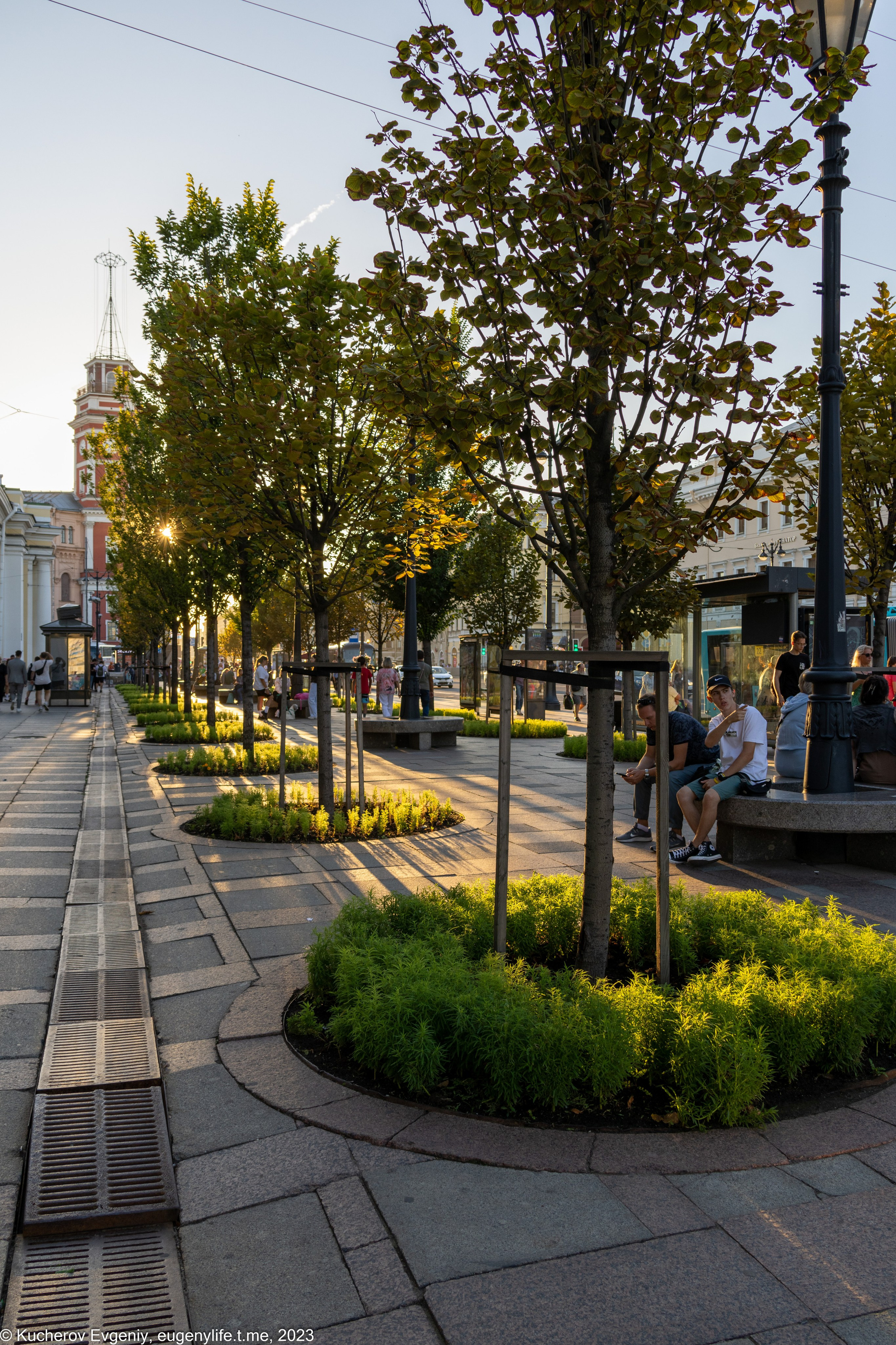 Скамейки. Кучеров Евгений. Фотограф