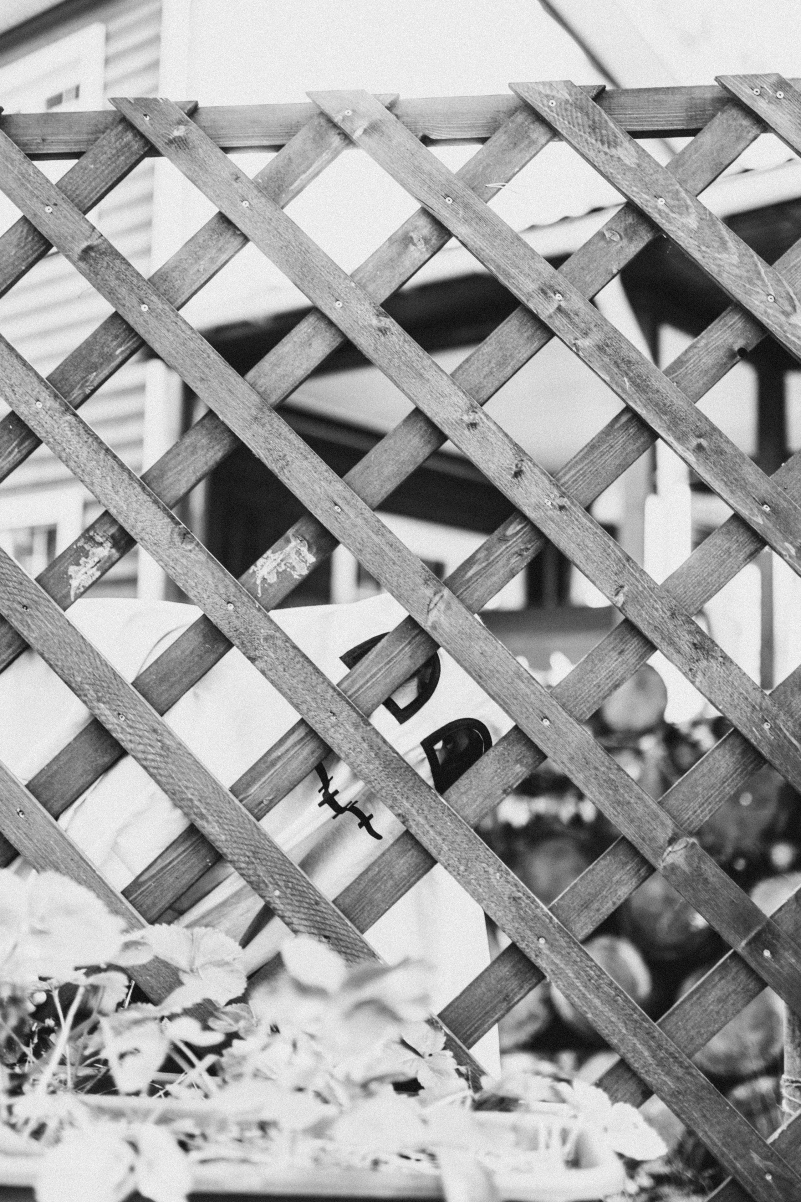 Маскарад на Зеленой даче. Семейный и детский фотограф и видеограф в Москве, Серпухове и Тарусе Валерия Сорокина