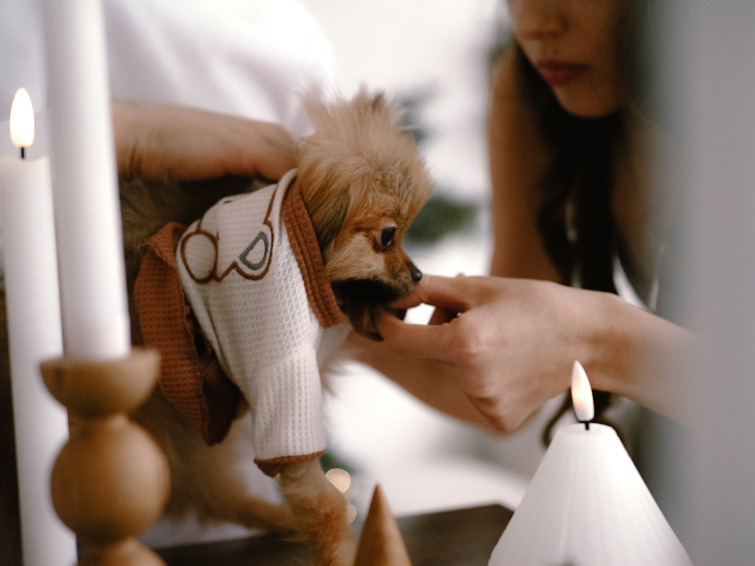 Нежные новогодние. Фотограф Рязань. Семейный Свадебный фотограф