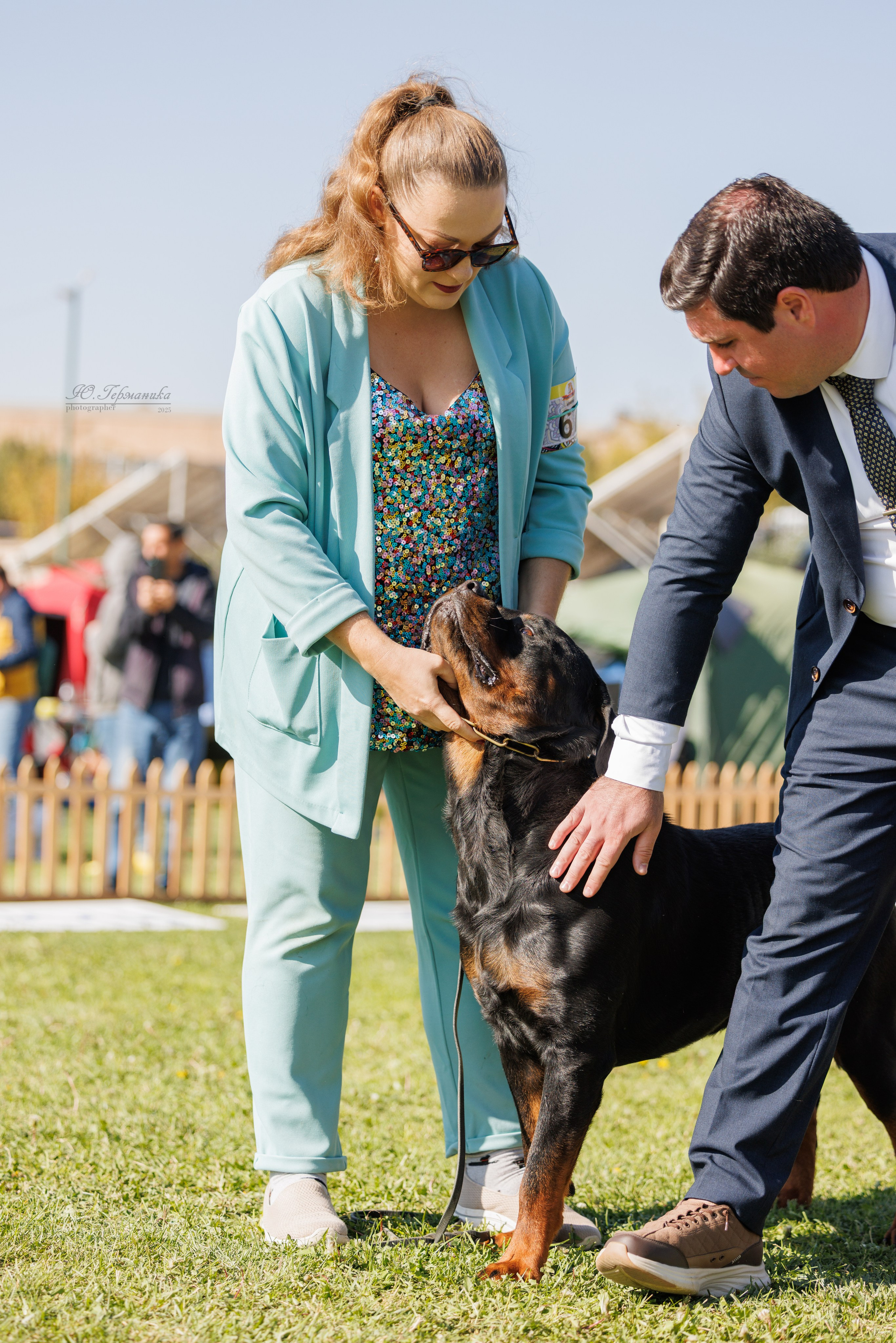 Ереван 14-16.10.2025. Фотограф-анималист Юлия Германика