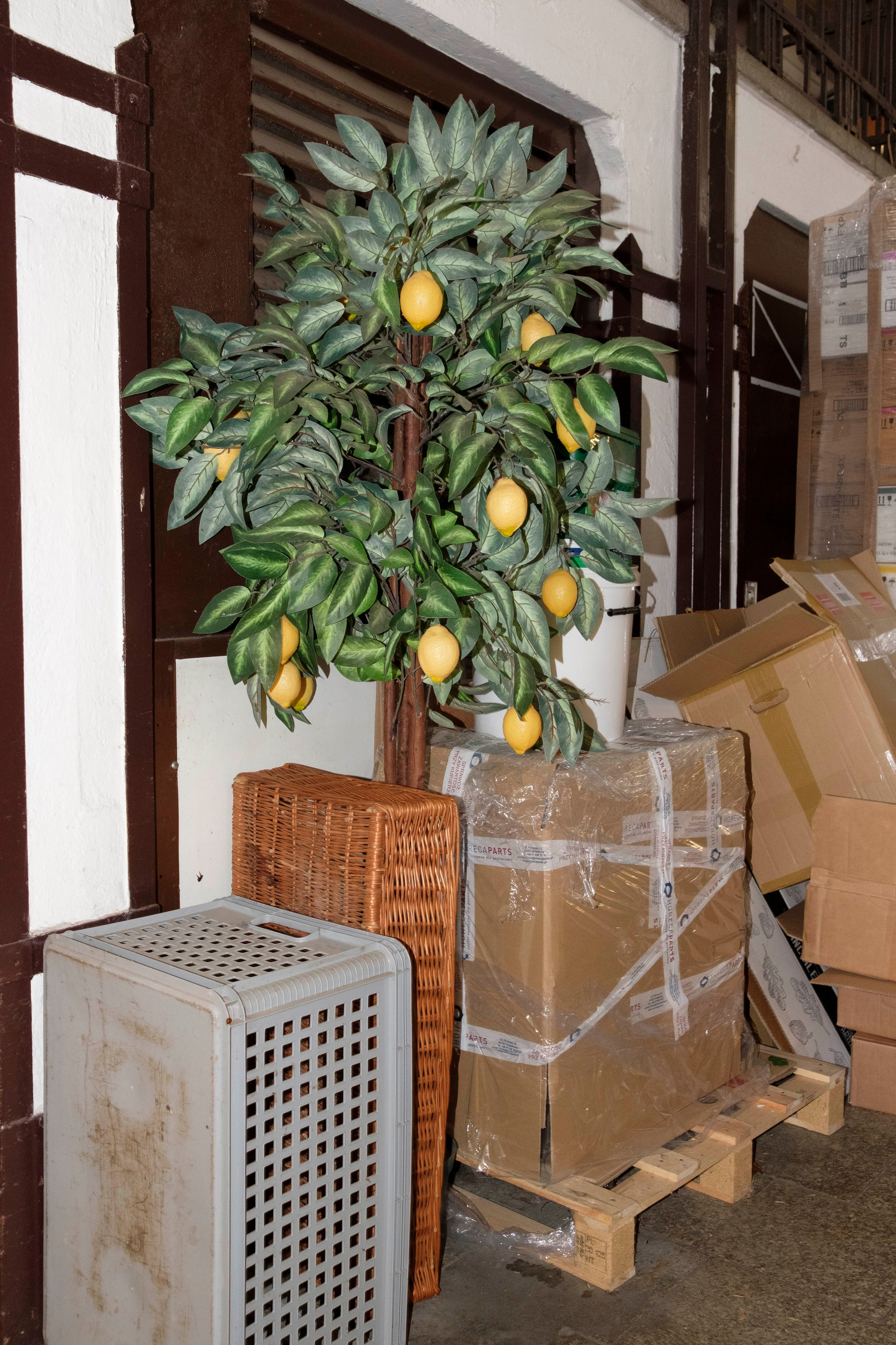 Simple. Photos. Photographer, Documentary and Art