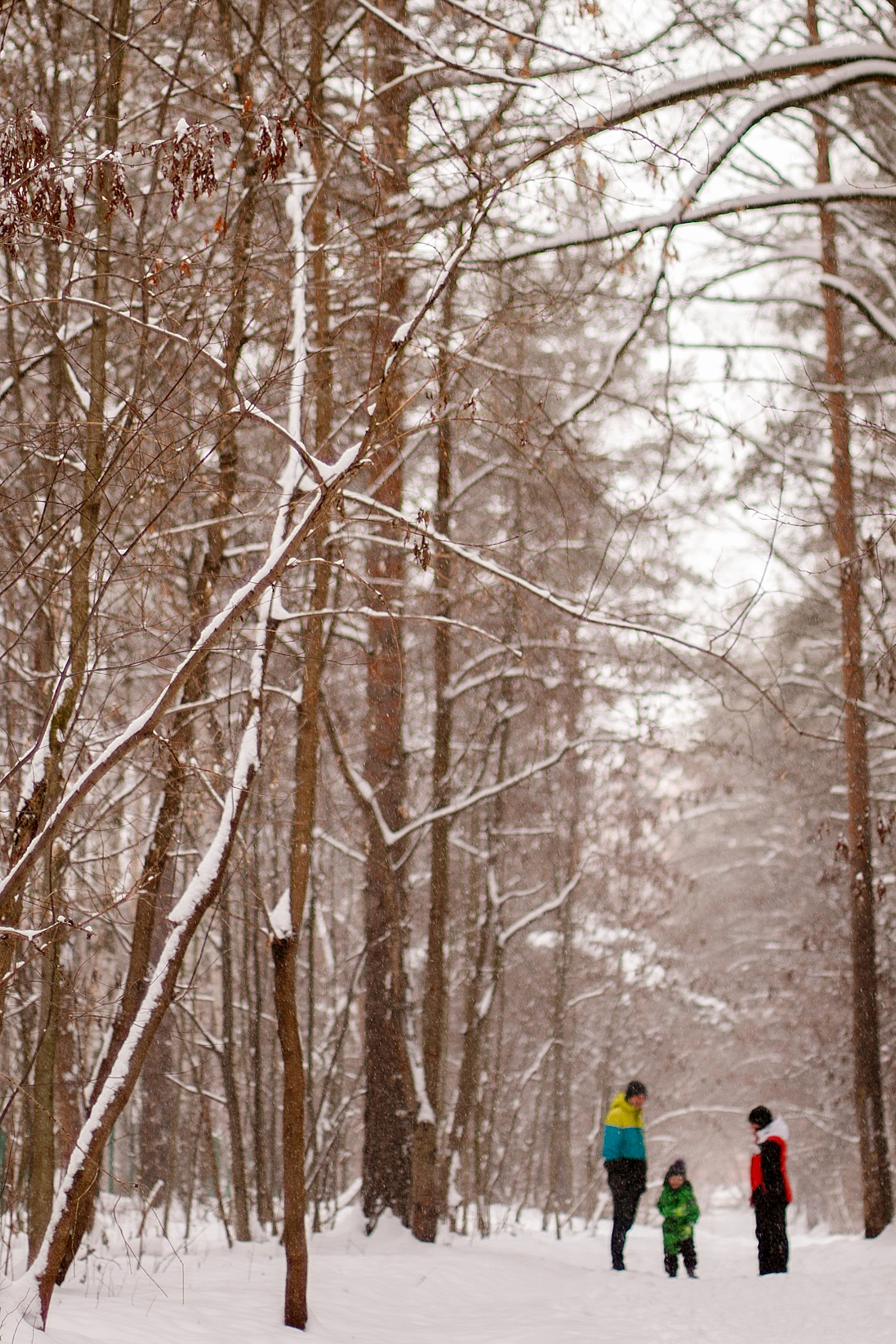 Семейные прогулки. Фотограф в Перми Гиренко Людмила
