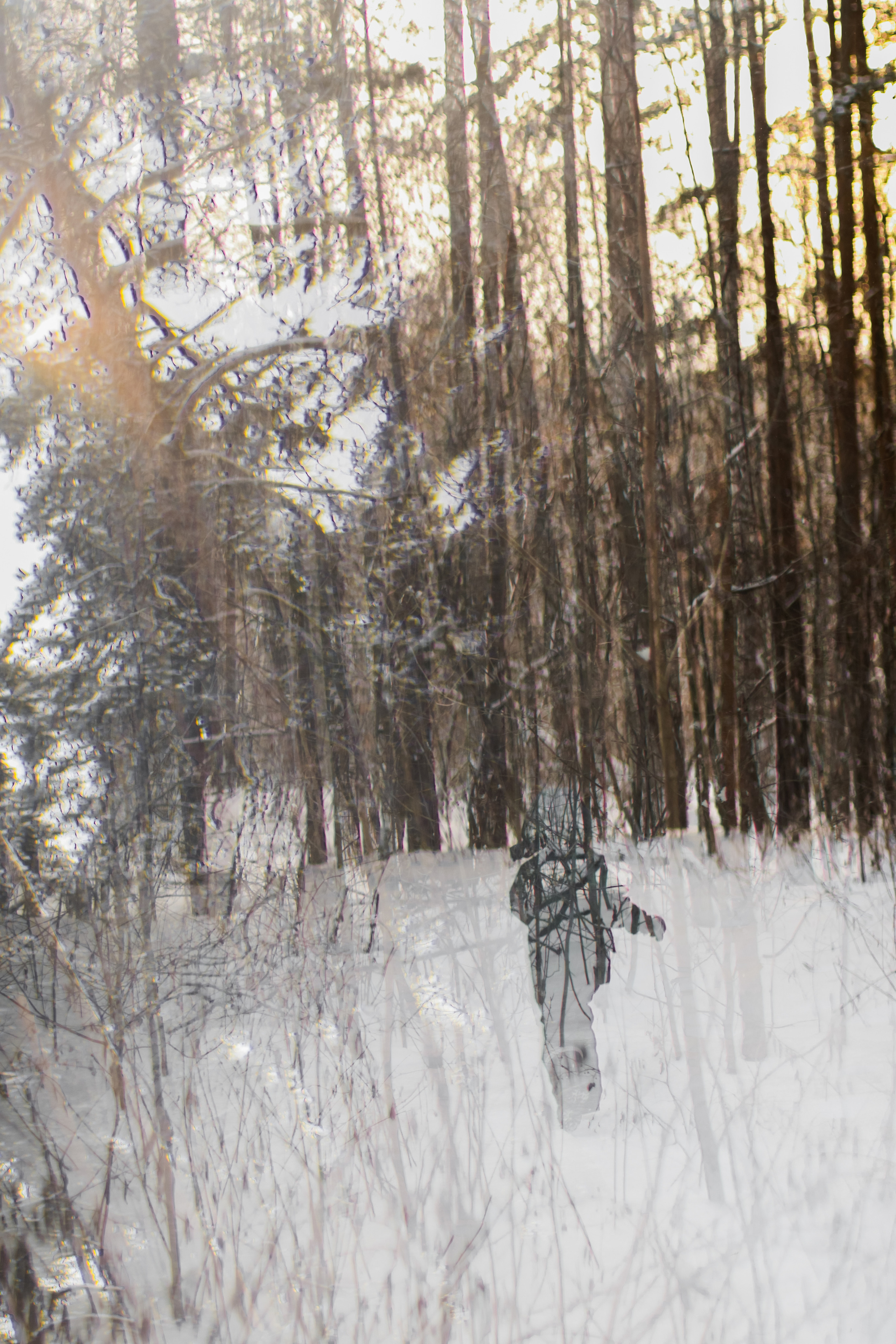 Семейные прогулки. Фотограф в Перми Гиренко Людмила