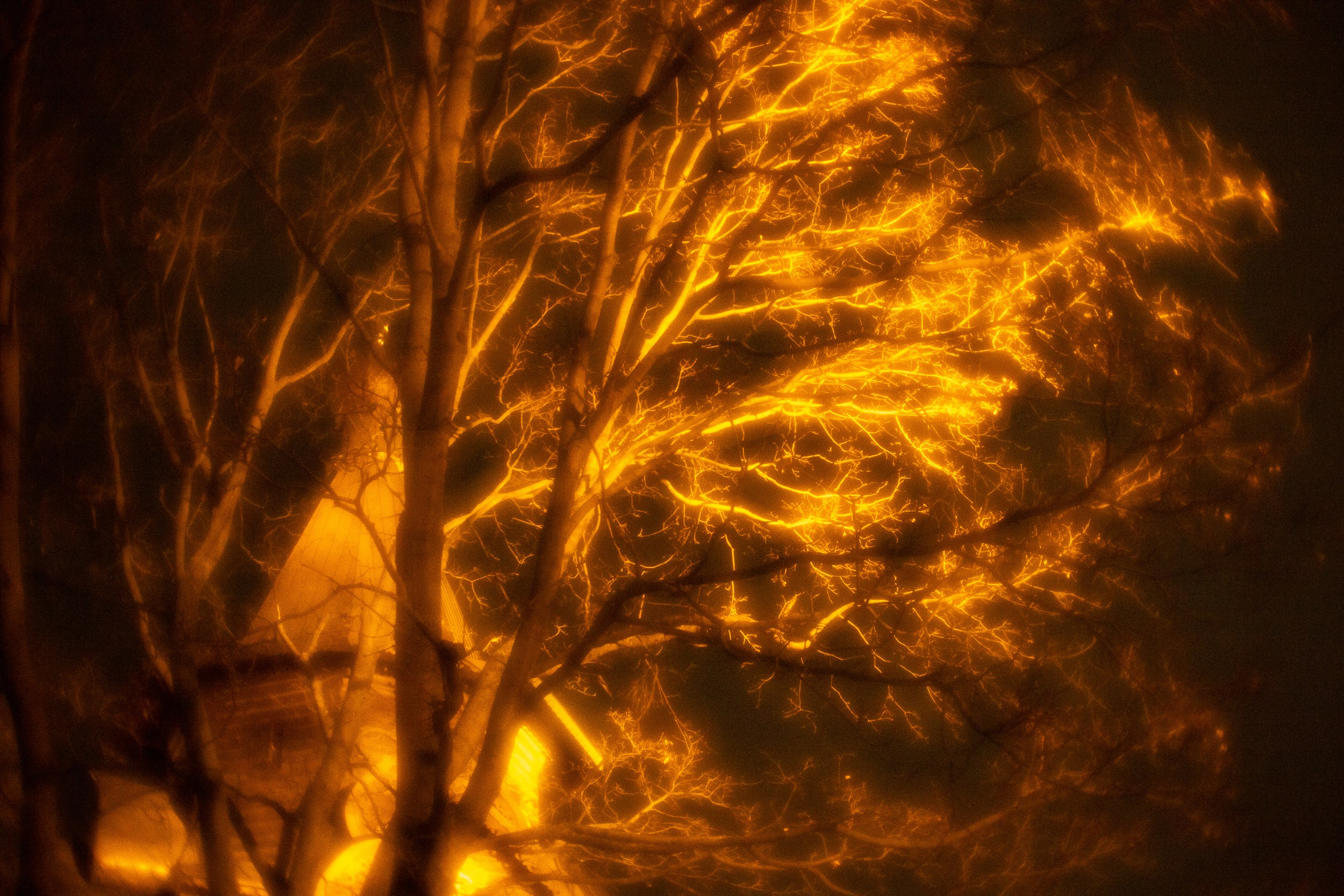 МОНОКЛЬ. Фотограф в Москве Татьяна Макотра