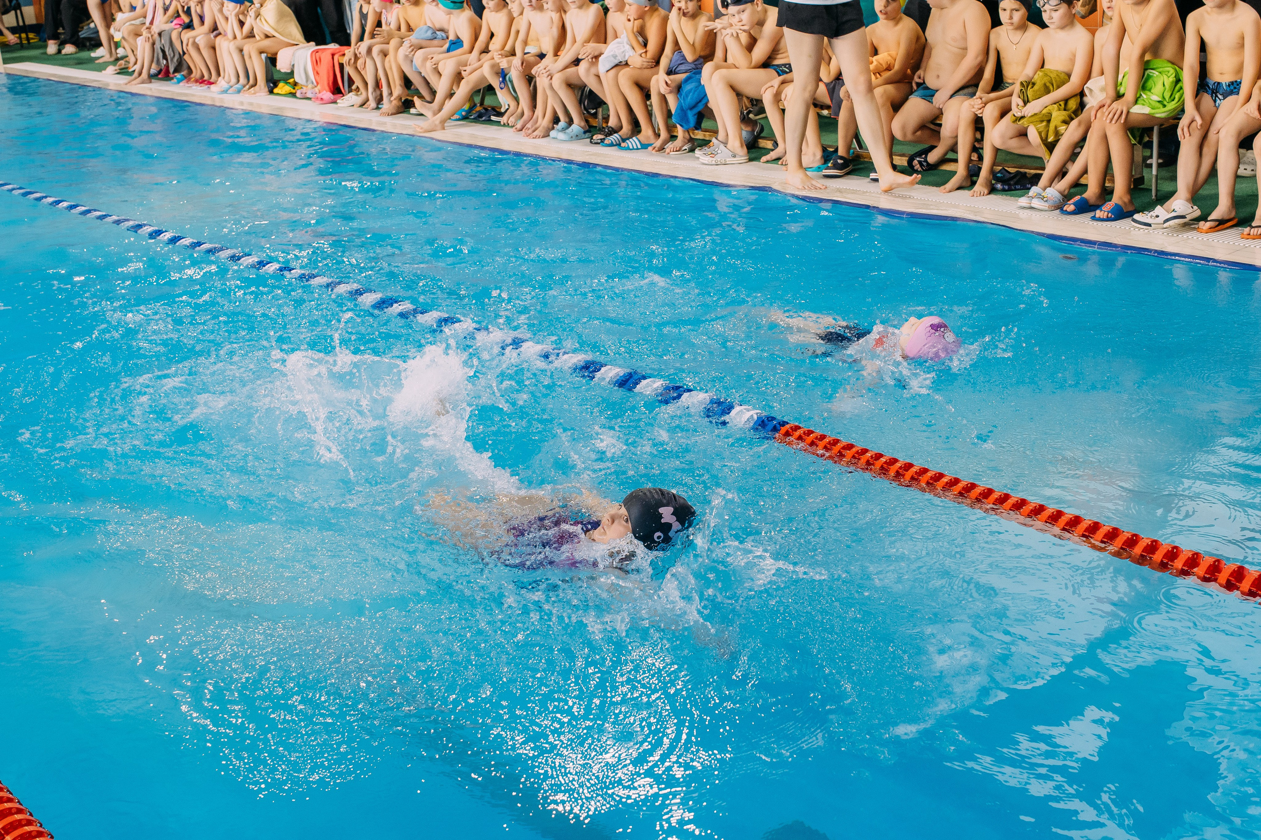 Соревнования по плаванию. Семейный фотограф в Волгограде Надежда Головко