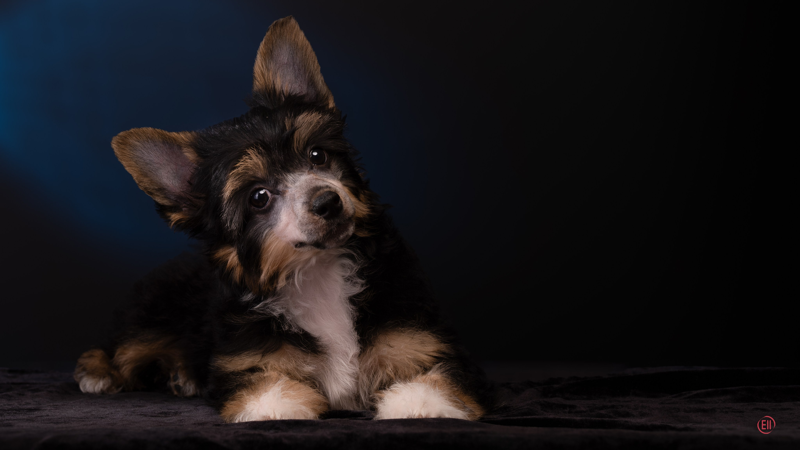 07.06.2025 Синяя фотосессия. Фотограф в Москве