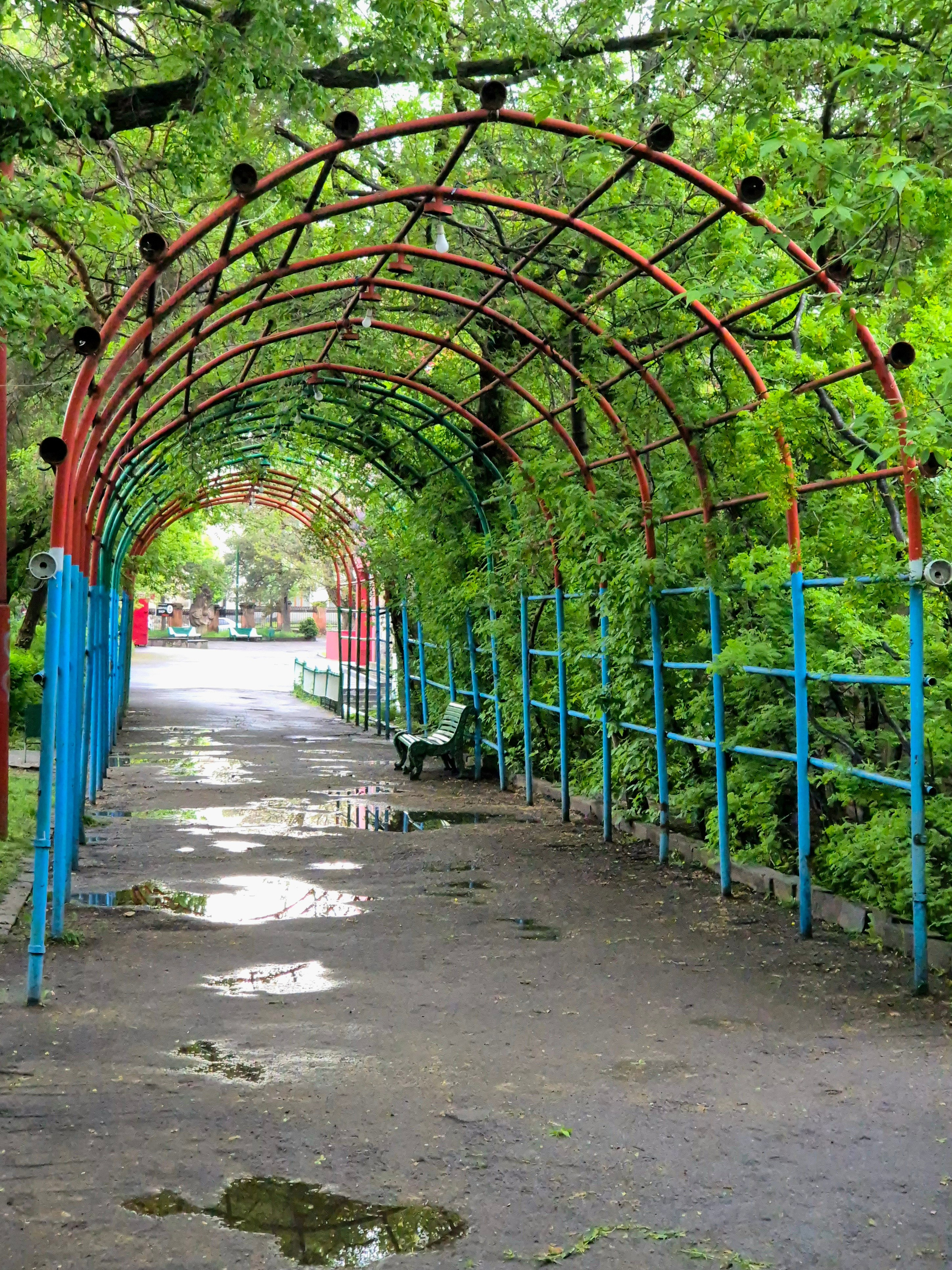 В воскресенье вечером в 18 ч парк опустел