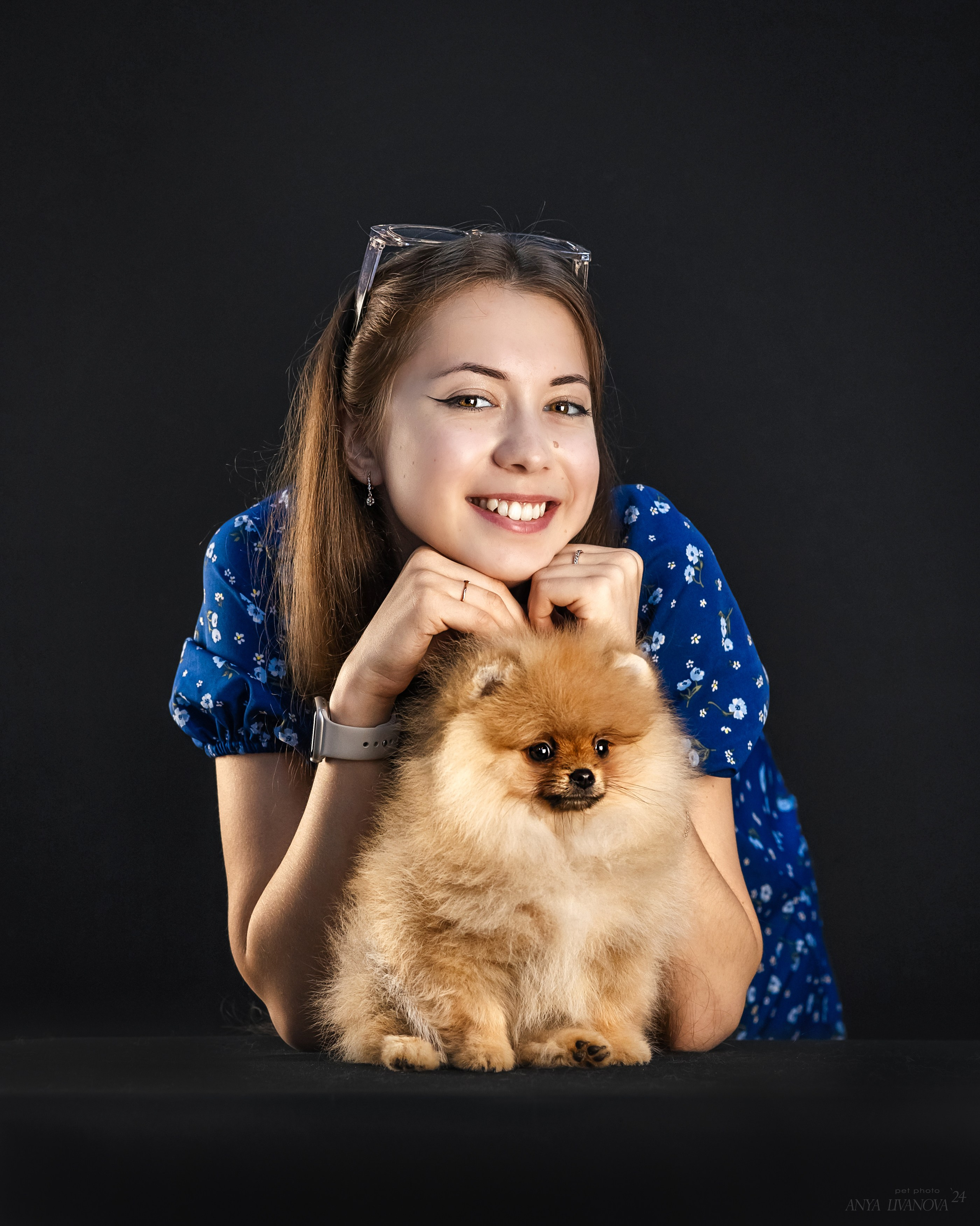 Шпицы. Фотограф анималист Аня Ливанова | Рыбинск