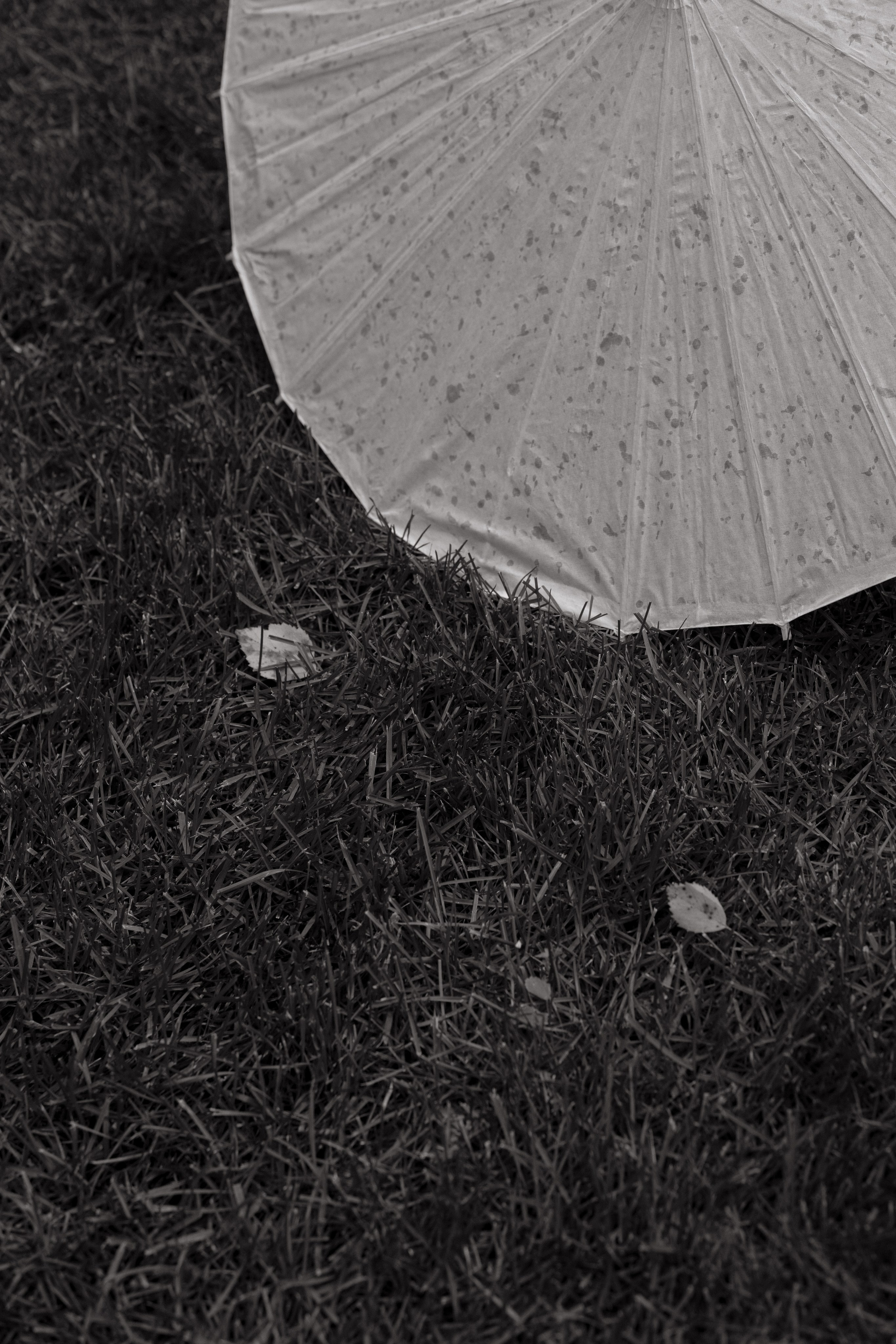 WED DAY 12/08. Свадебный фотограф в Москве Дмитрий Тарасов