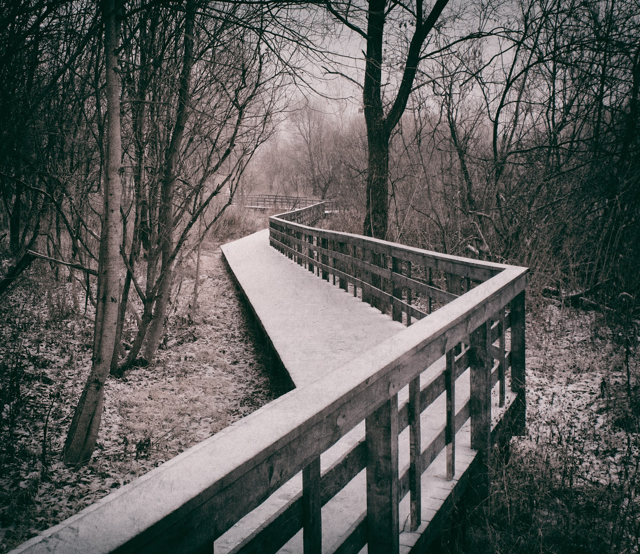 Infrared Photography. Solofilms