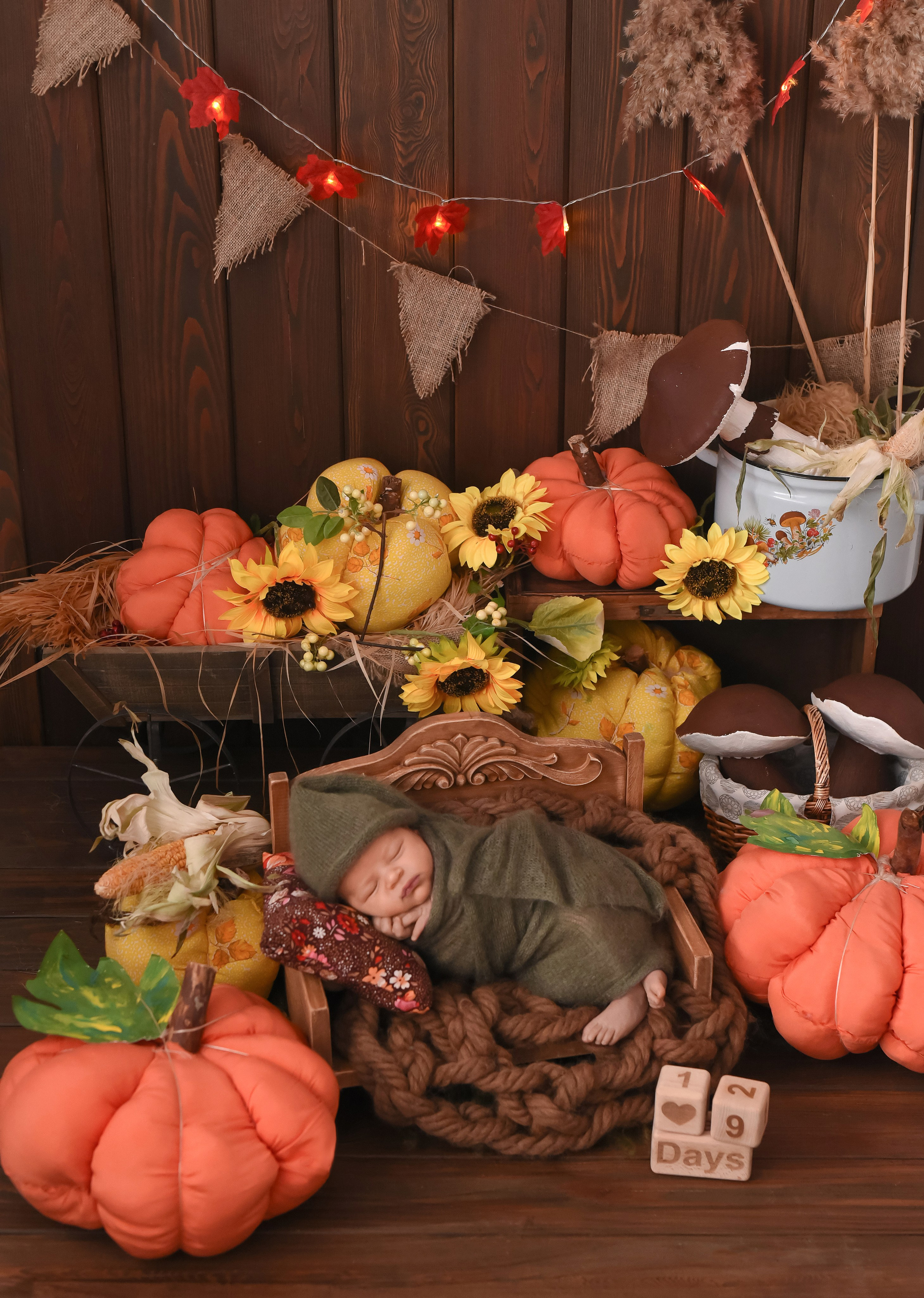 Новорожденные малыши. Детский и семейный Фотограф г. Красноярск