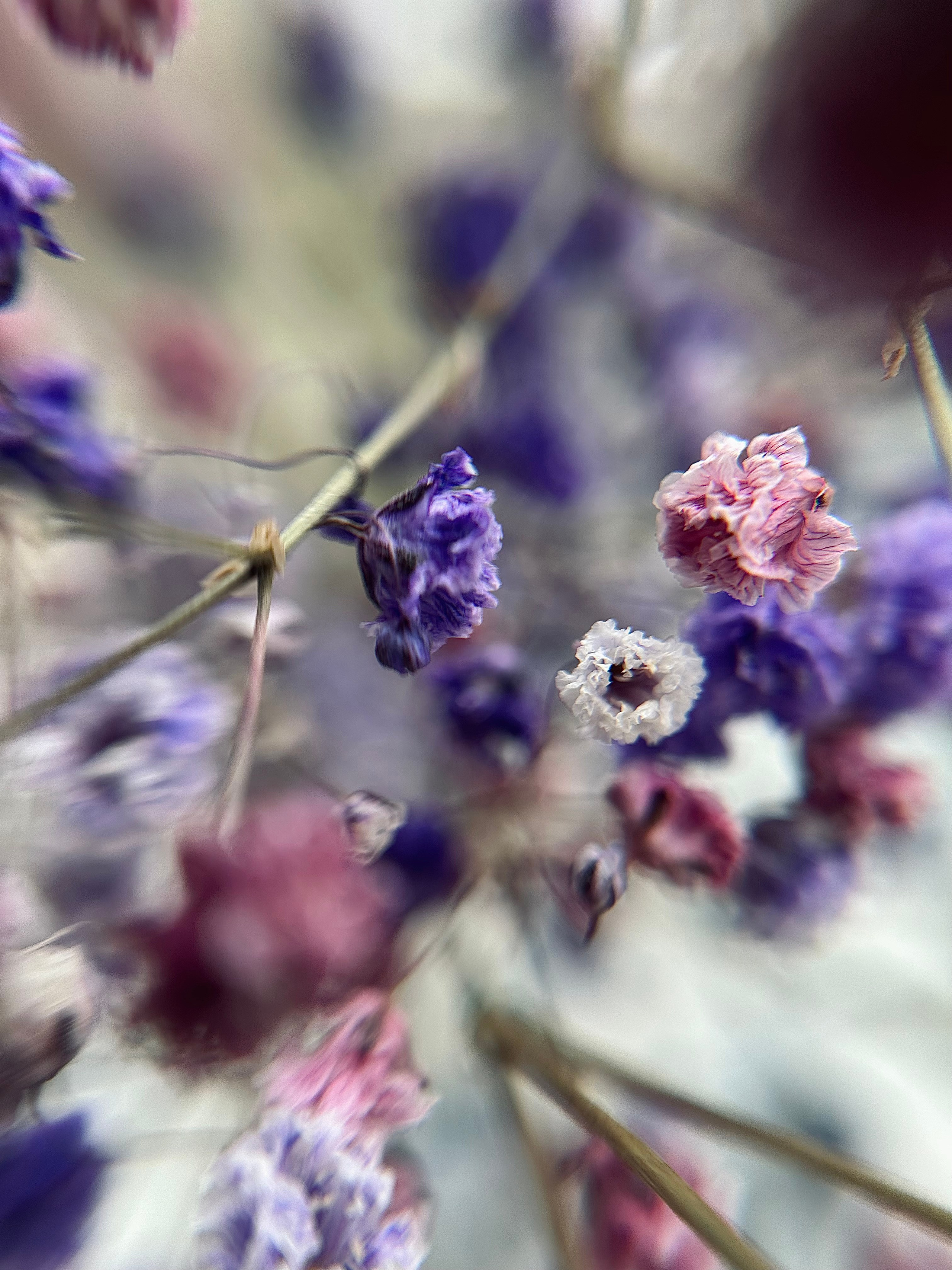 Мобильная фотография