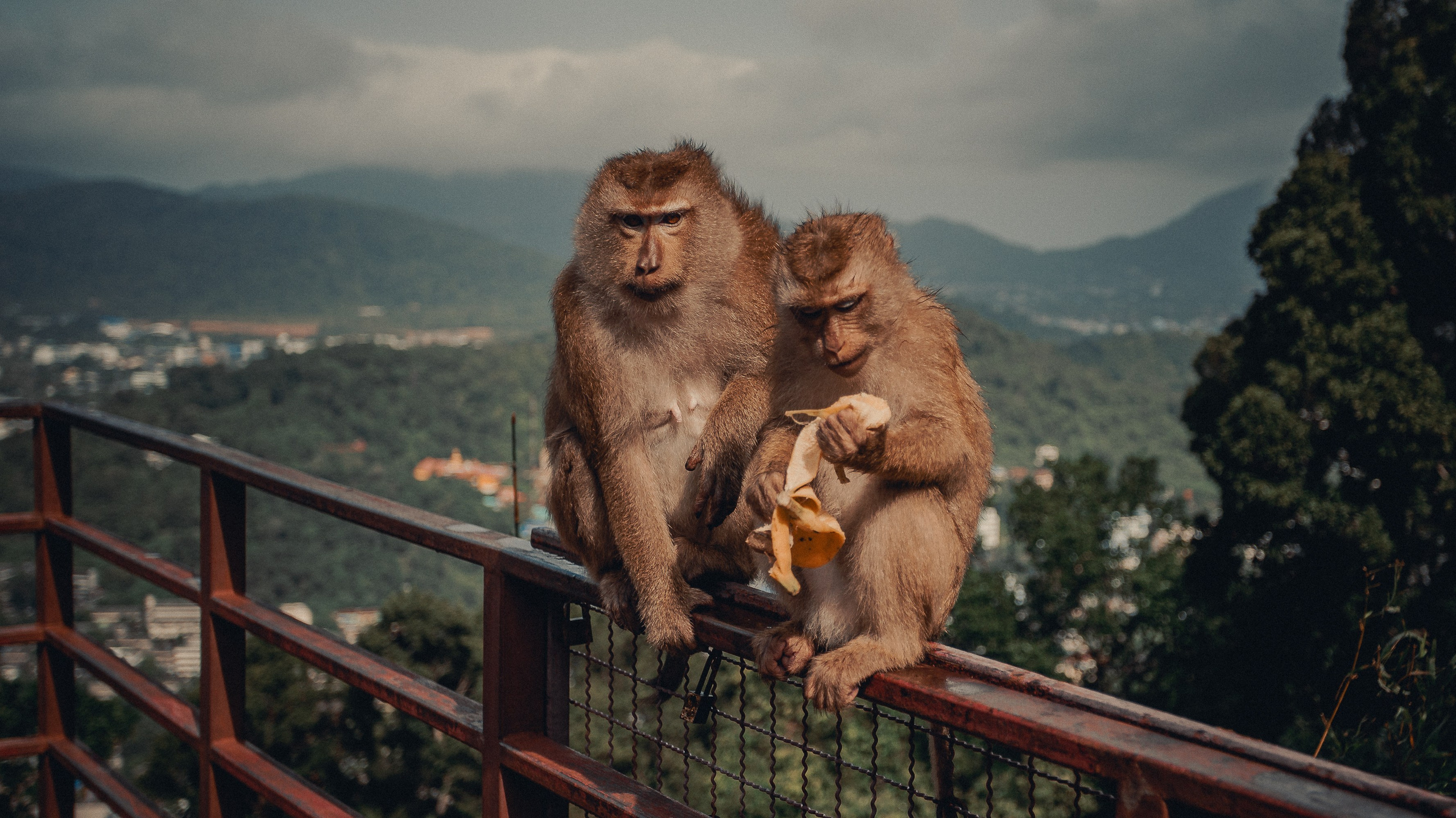 Таиланд. Фотошкола ArtFotoLife для начинающих и продвинутых фотографов