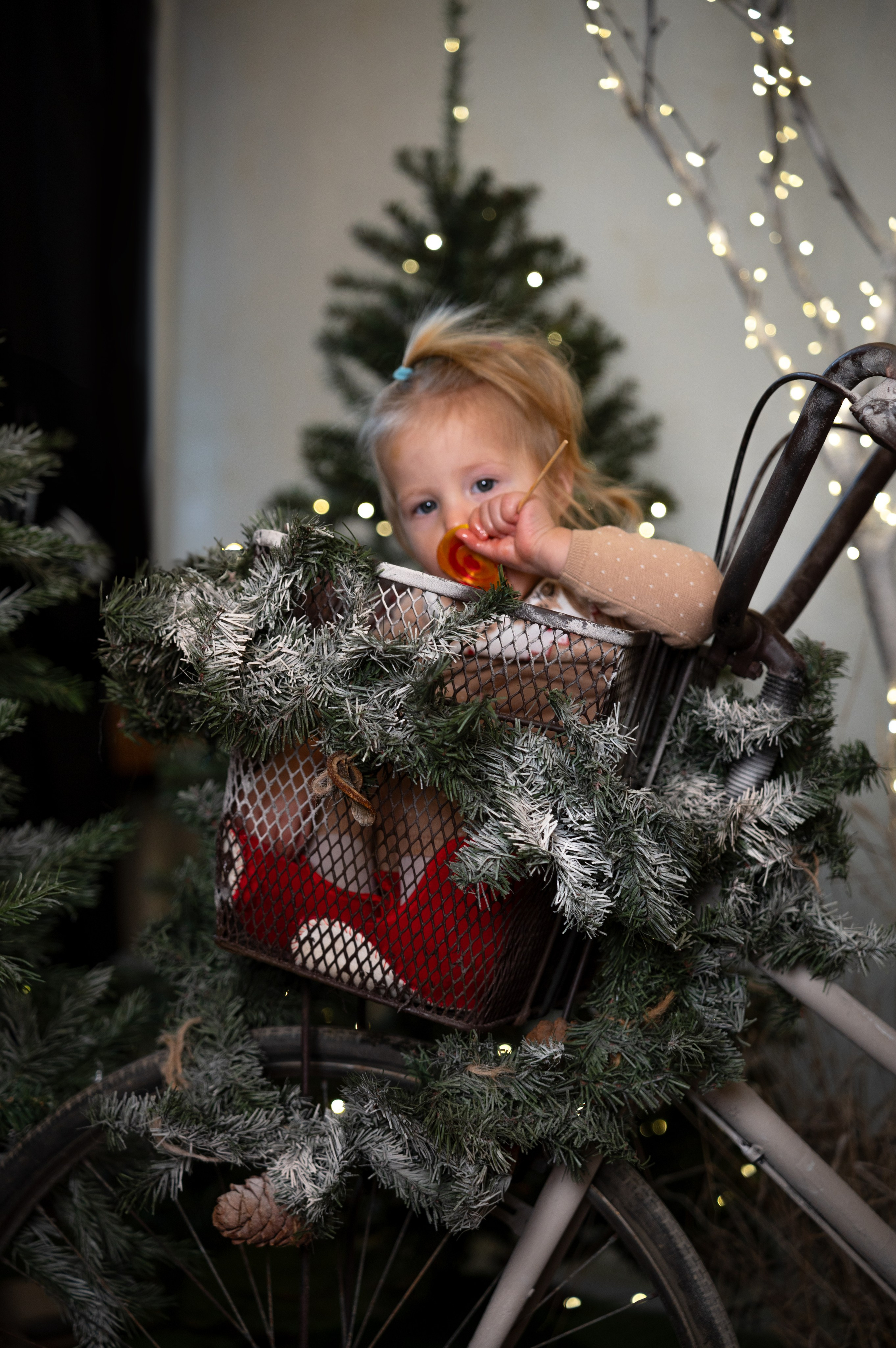 Гномики. Главная