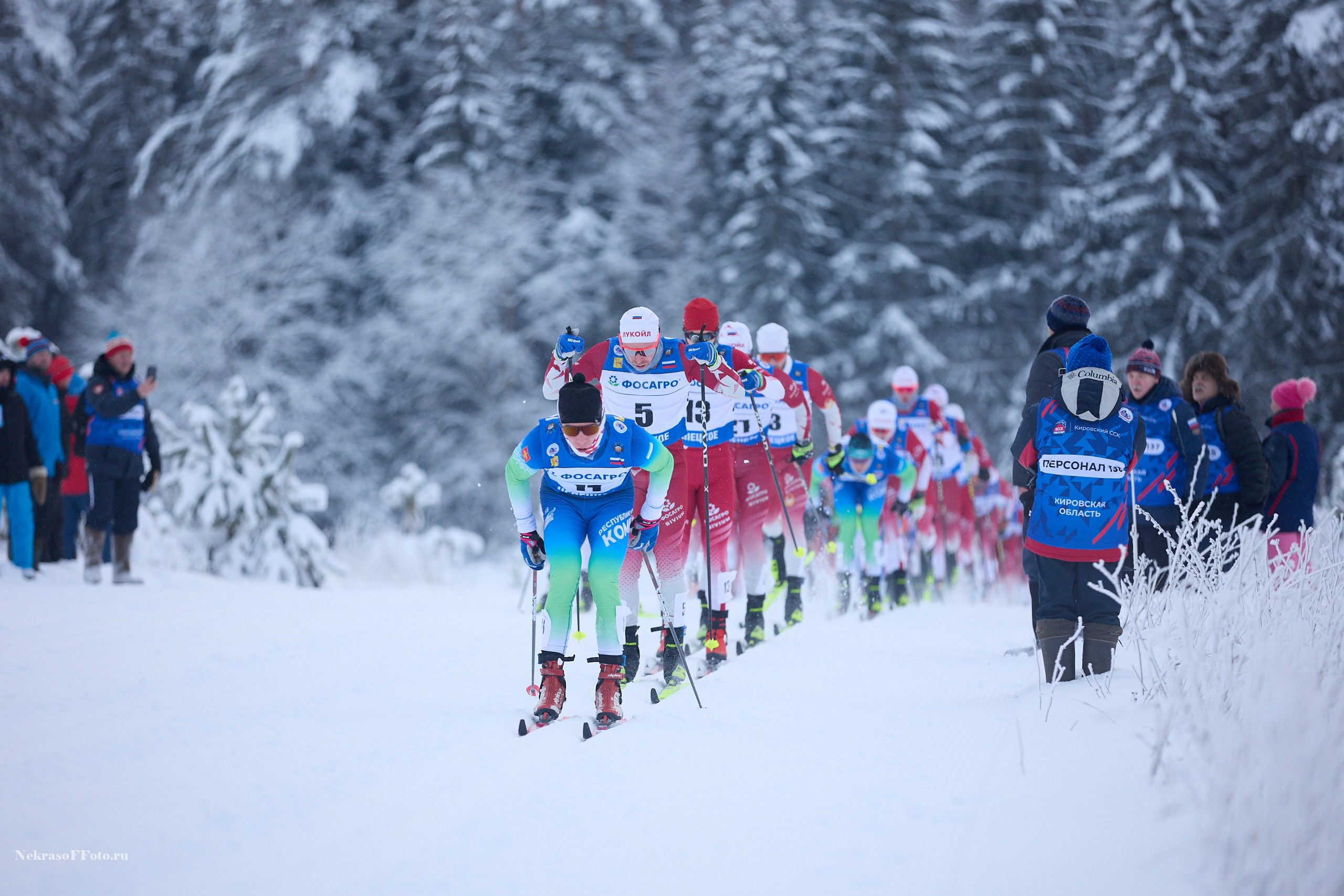 Кубок России по Лыжным гонкам. Спортивный фотограф Некрасов Денис