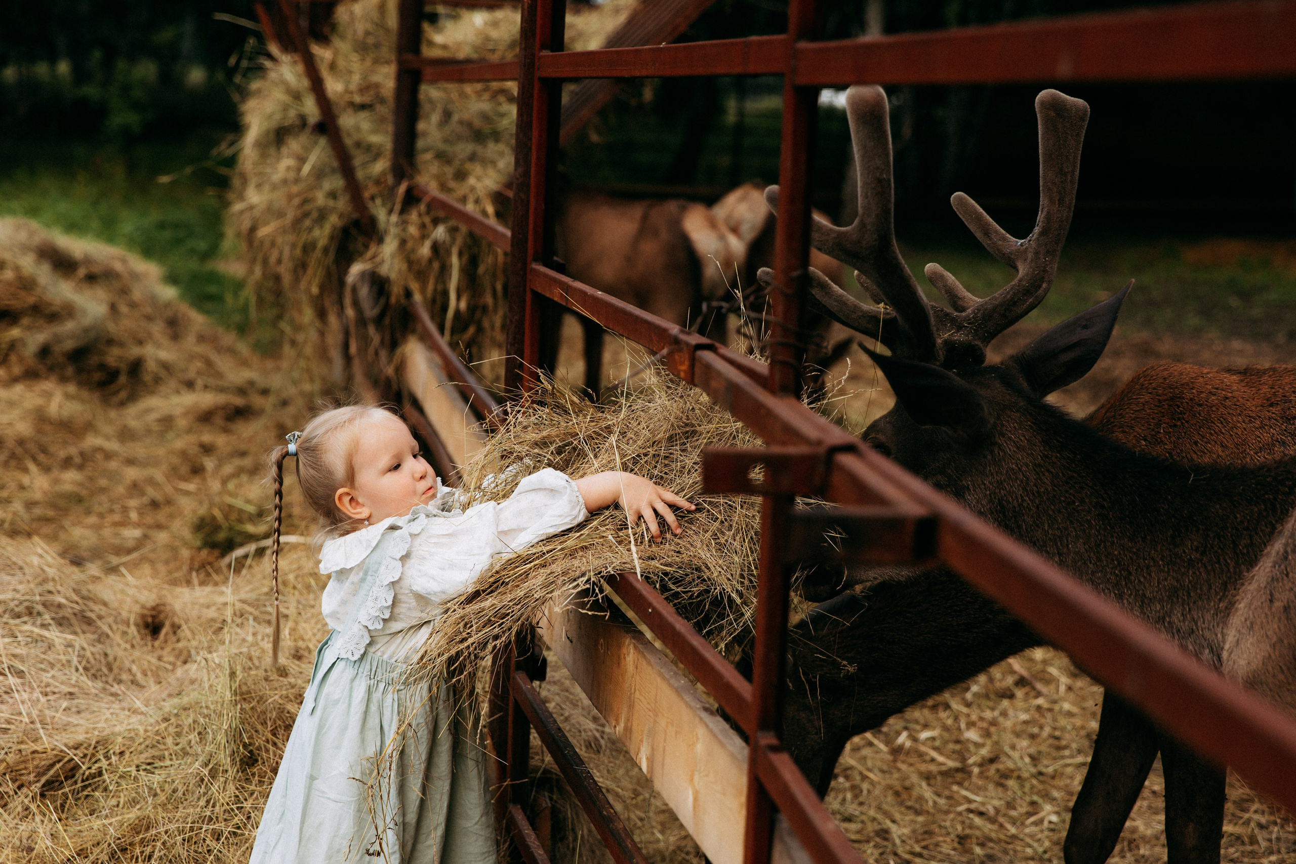 Мира и её семья. Главная