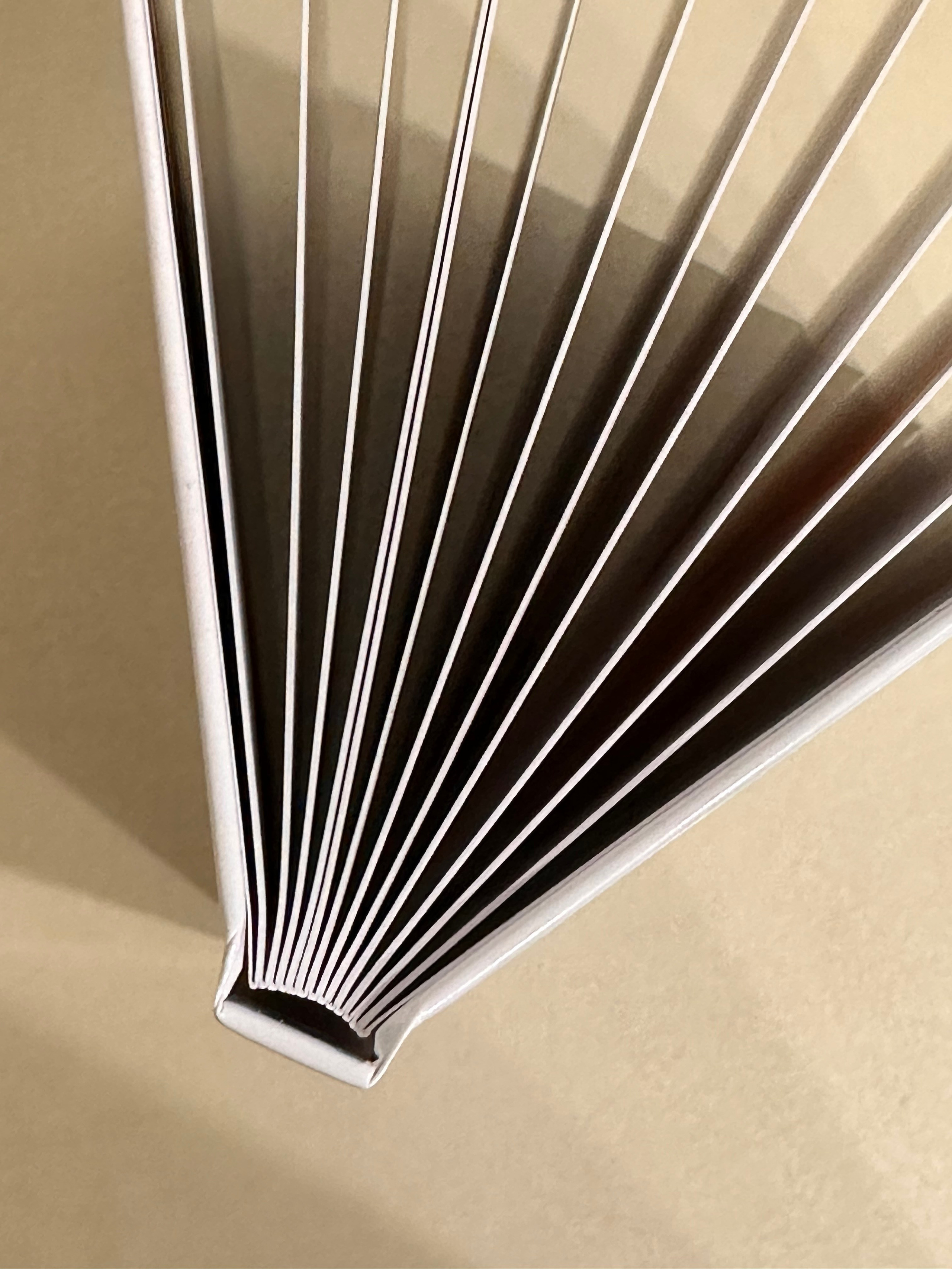 Книга семейная лайфлат. Фотограф г. Пенза — Светлана Зойкина