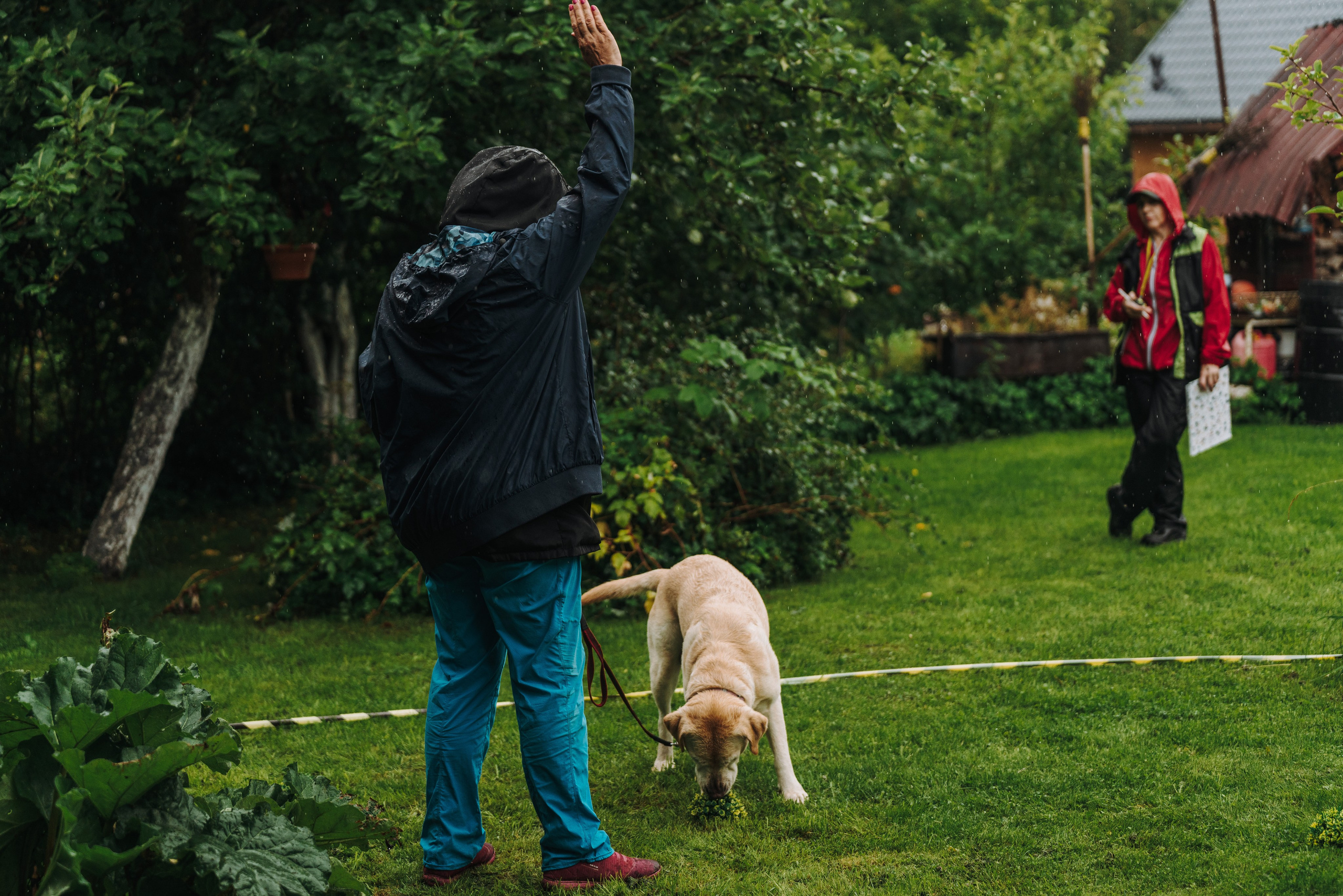 Соревнования по ноузворку в Новожилово. Фотограф анималист в Спб недорого Олеся Майорова