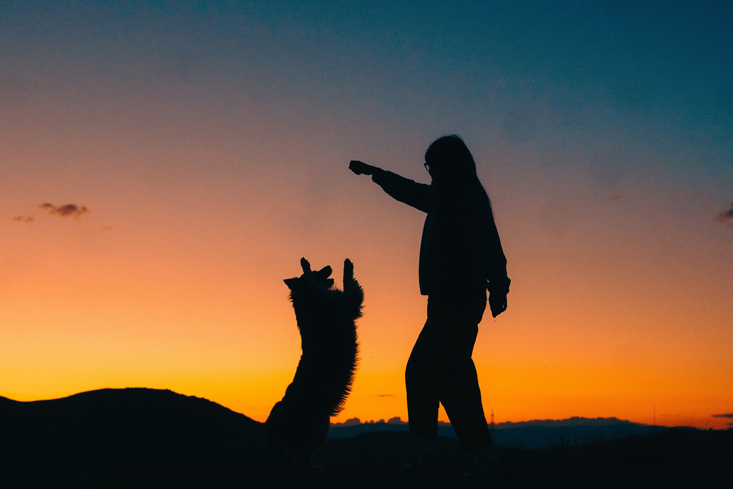 Настя и Умка. Фотограф анималист в Спб недорого Олеся Майорова