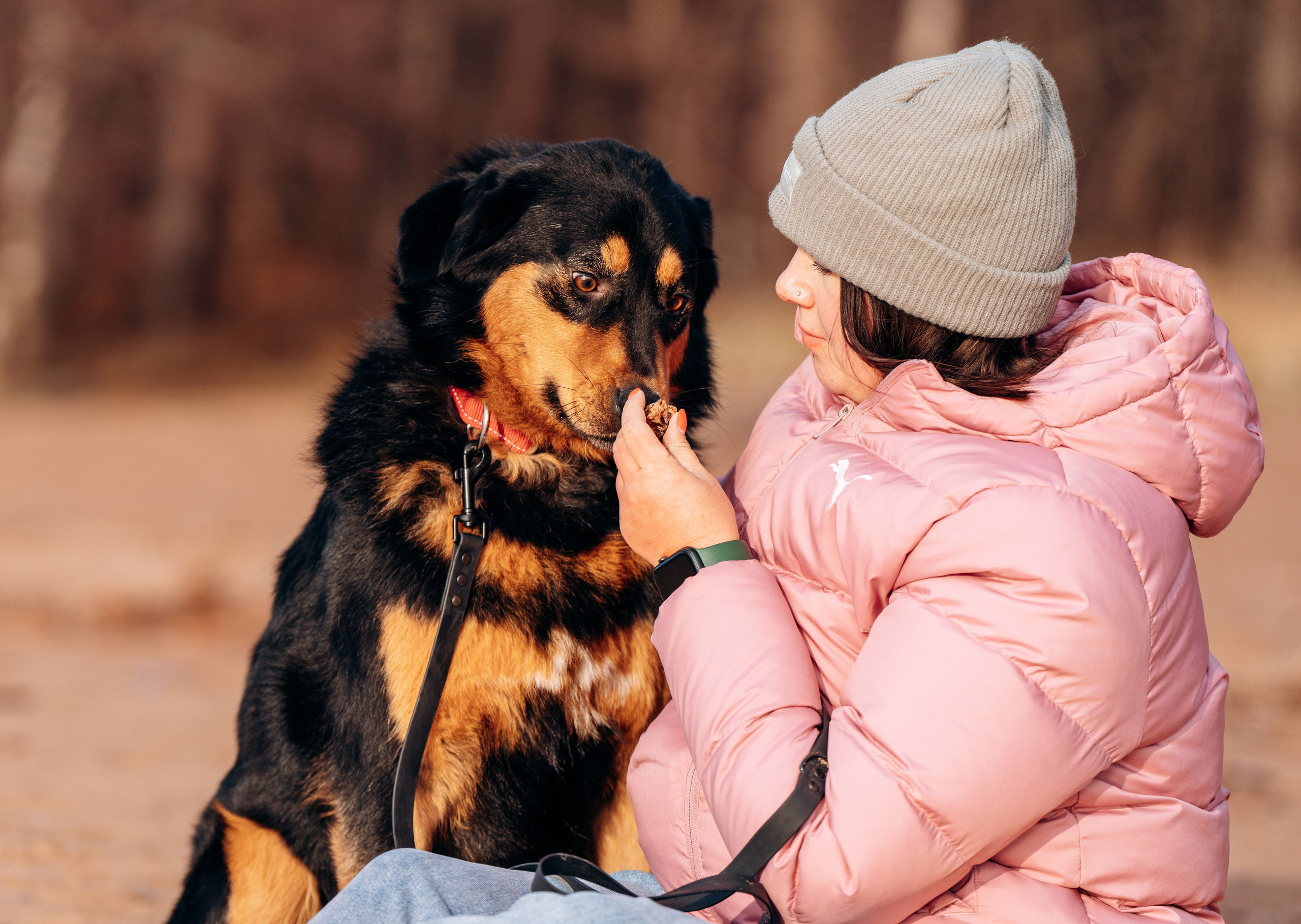 Глаша и Любовь. Фотограф анималист в Спб недорого Олеся Майорова