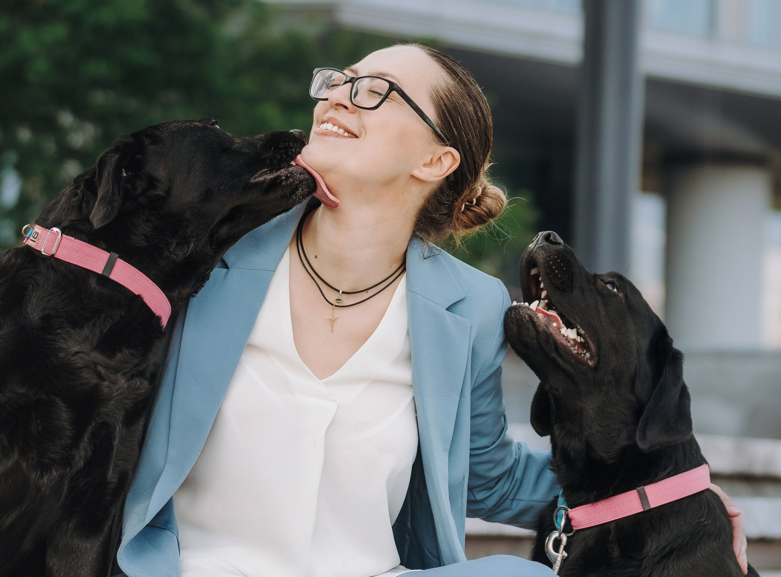 Лабрадоры питомника IRISLAV. Фотограф анималист в Спб недорого Олеся Майорова