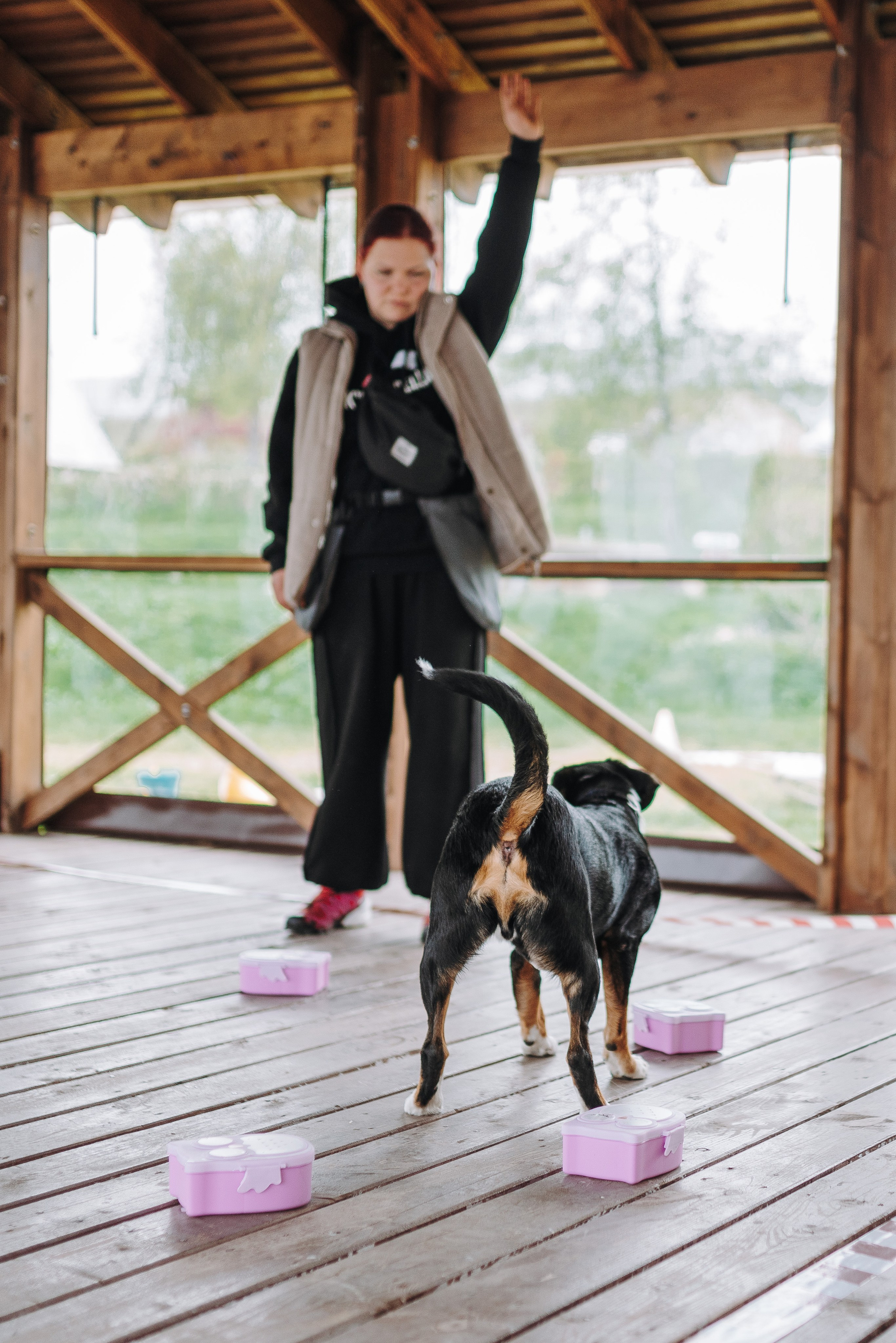 Соревнования по ноузворку в Лосево. Фотограф анималист в Спб недорого Олеся Майорова