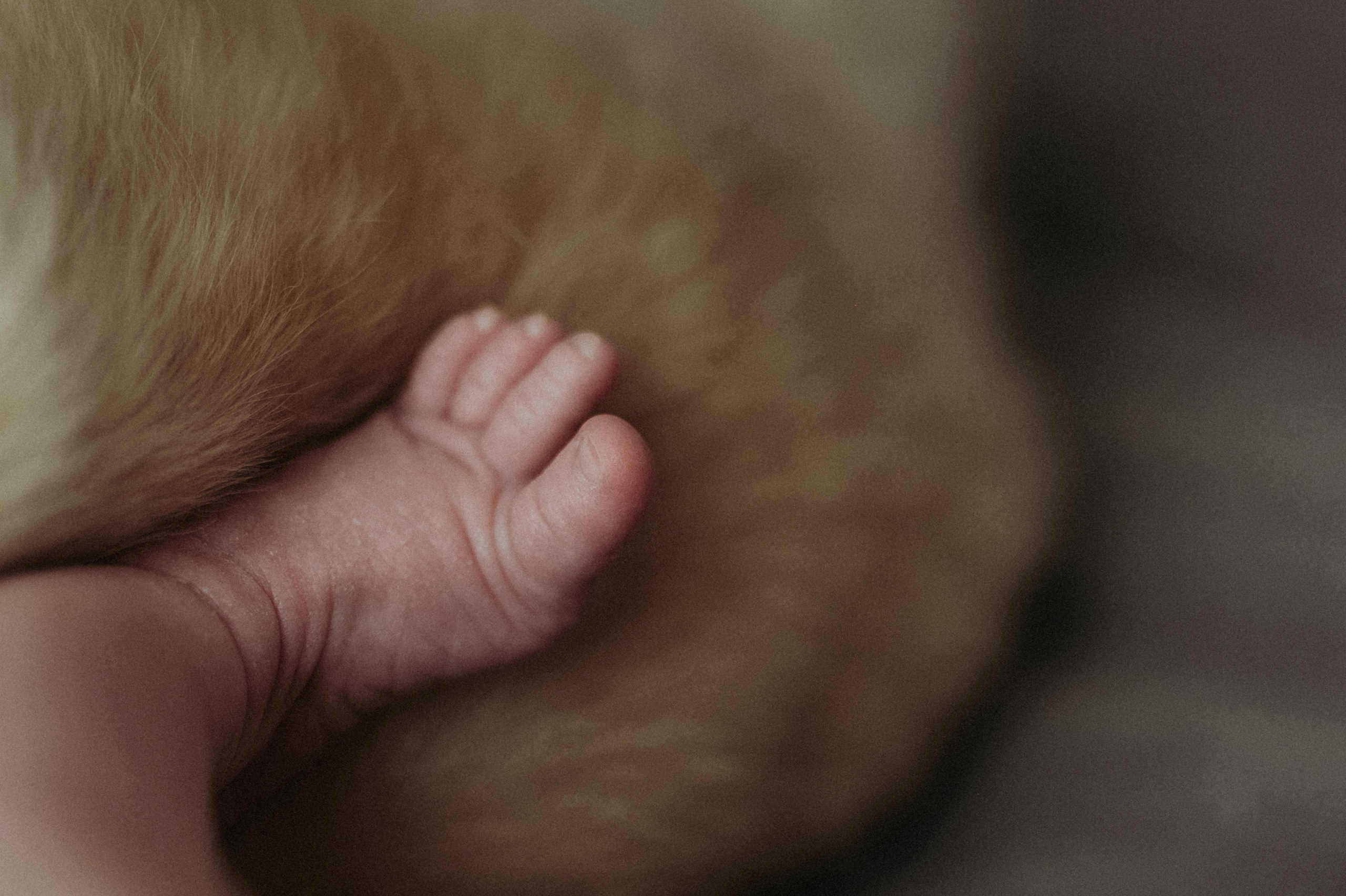 Ирина, Саша, Филипп, Пенни. Www.ostermiller.ru