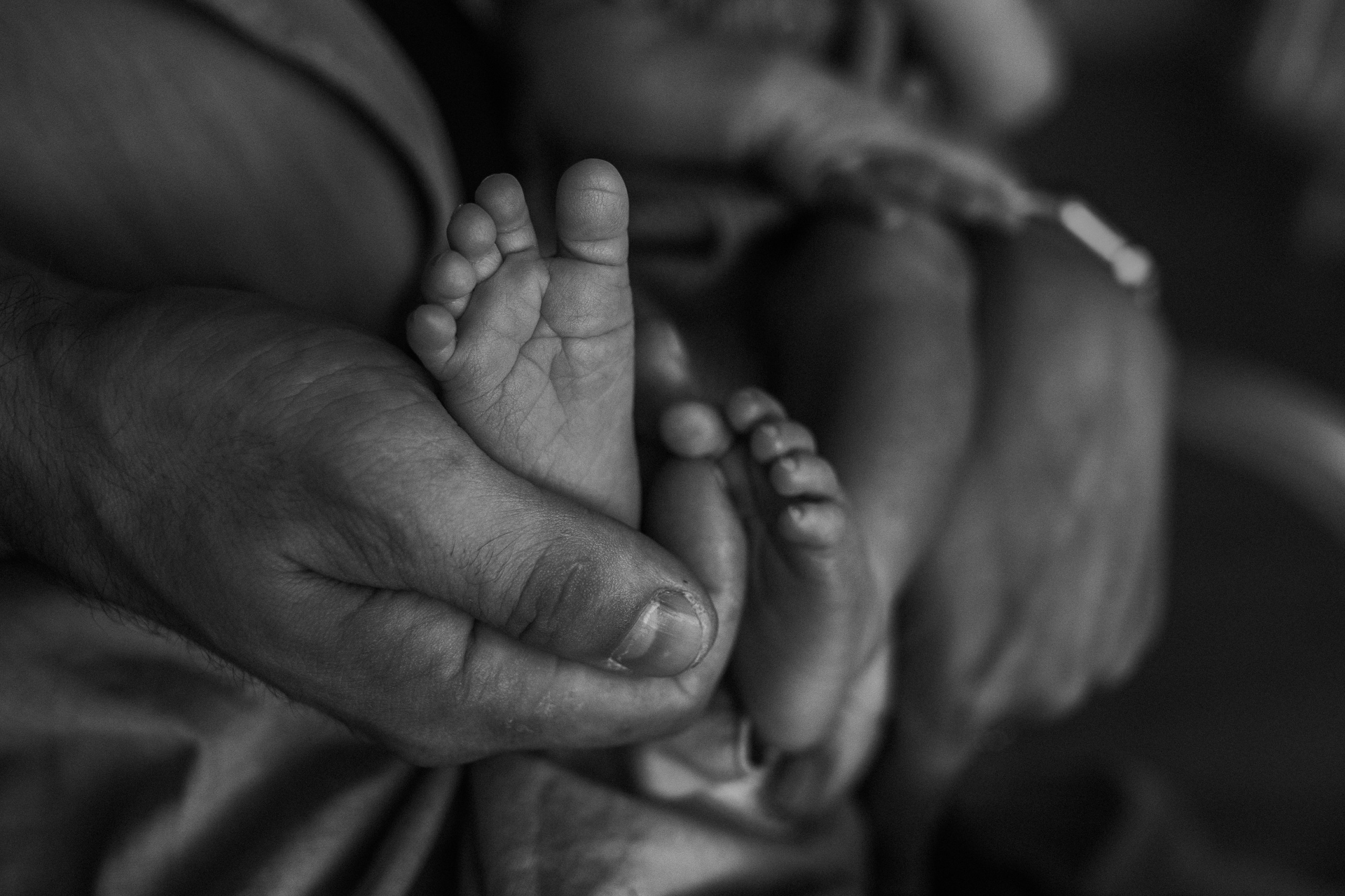 Ирина, Саша, Филипп, Пенни. Www.ostermiller.ru