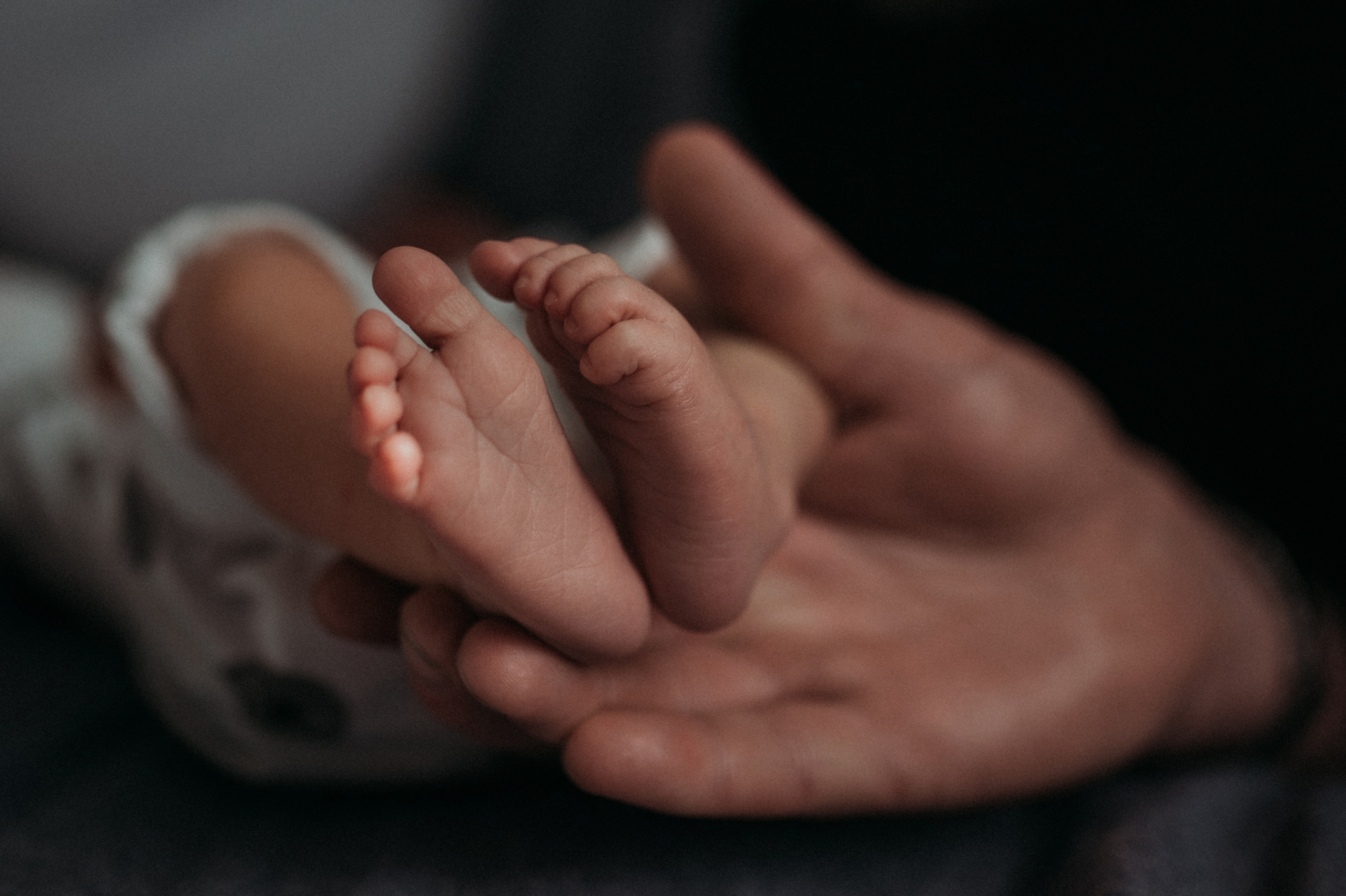 Маша, Леша, Прохор, Платон. Www.ostermiller.ru