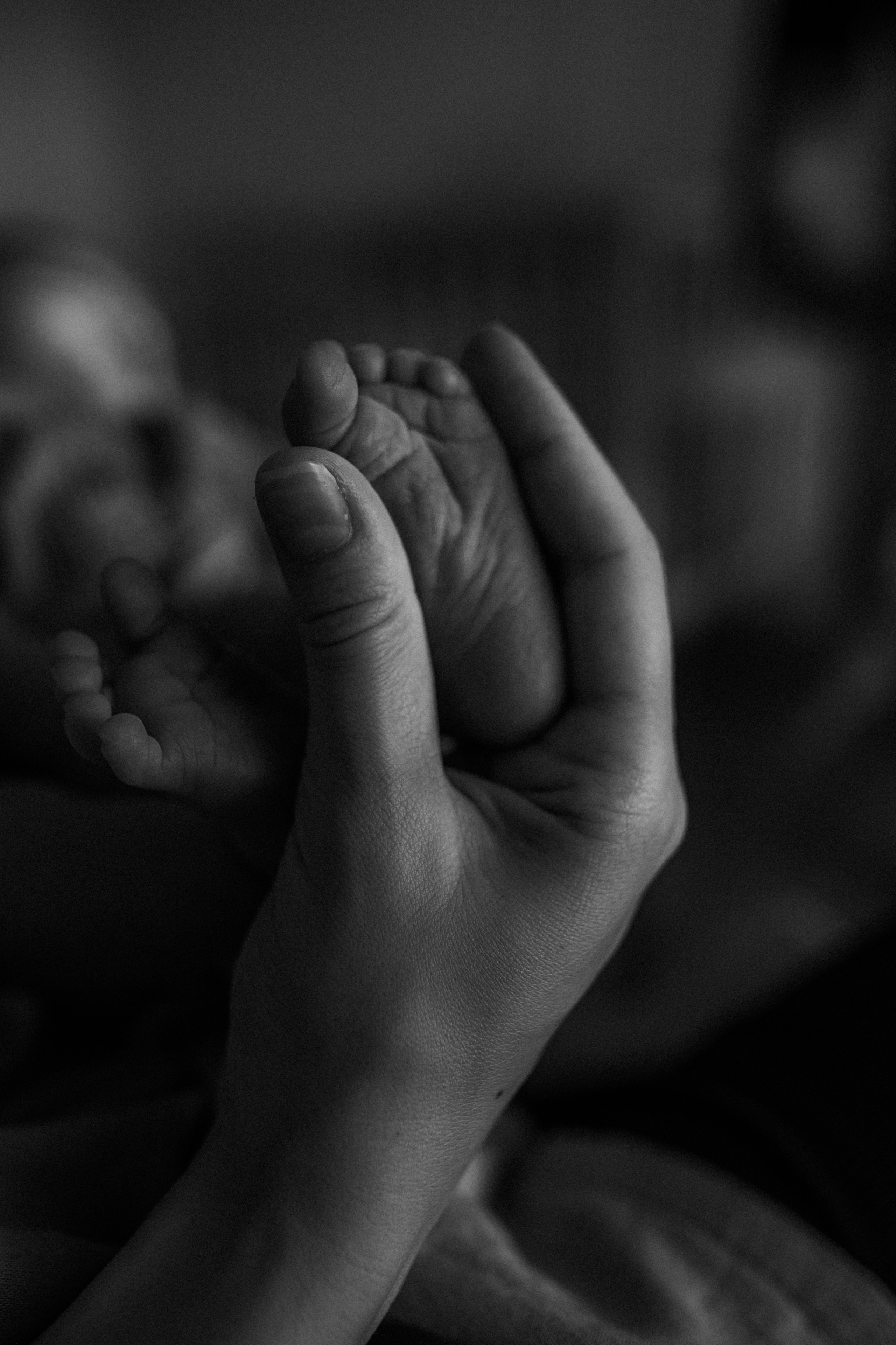 Ирина, Саша, Филипп, Пенни. Www.ostermiller.ru