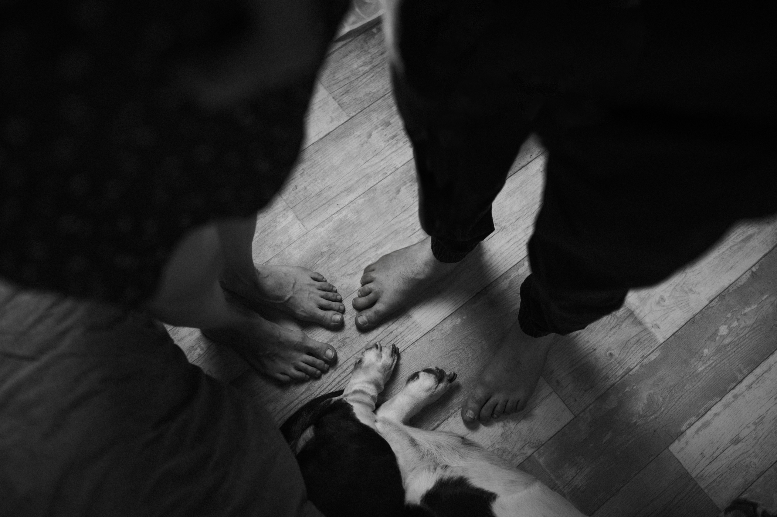 Маша, Леша, Прохор, Платон. Www.ostermiller.ru