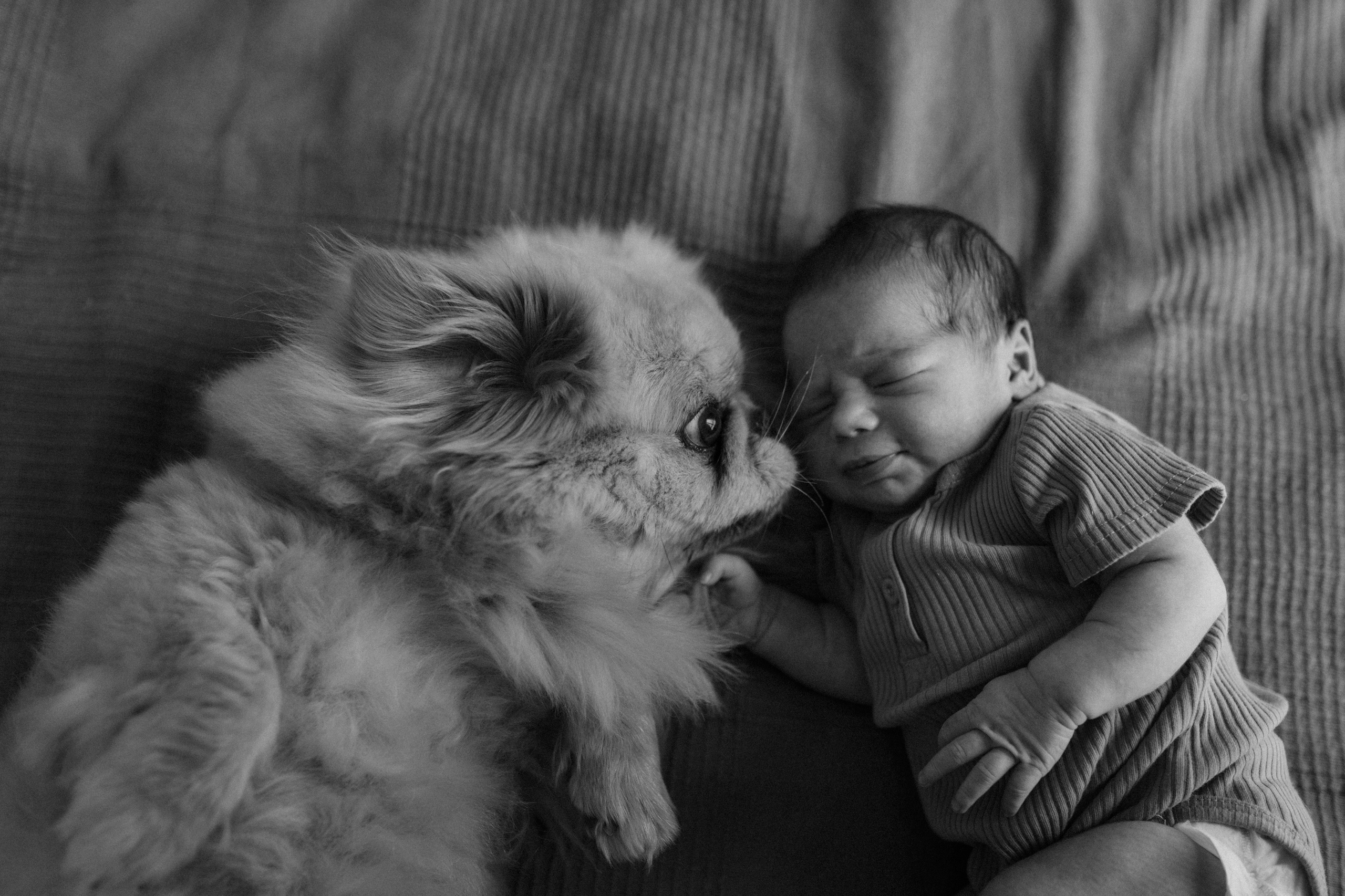 Ирина, Саша, Филипп, Пенни. Www.ostermiller.ru