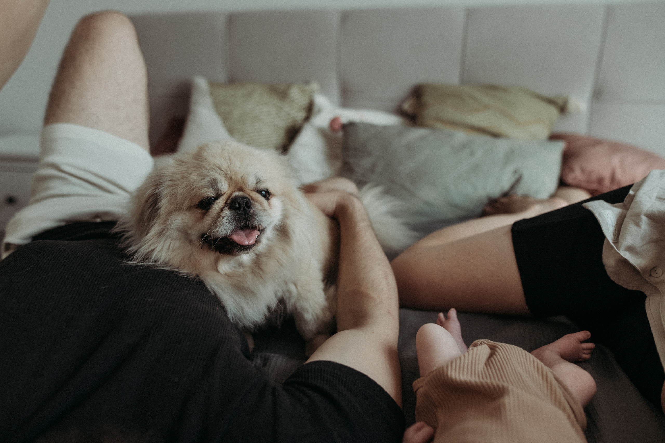 Ирина, Саша, Филипп, Пенни. Www.ostermiller.ru