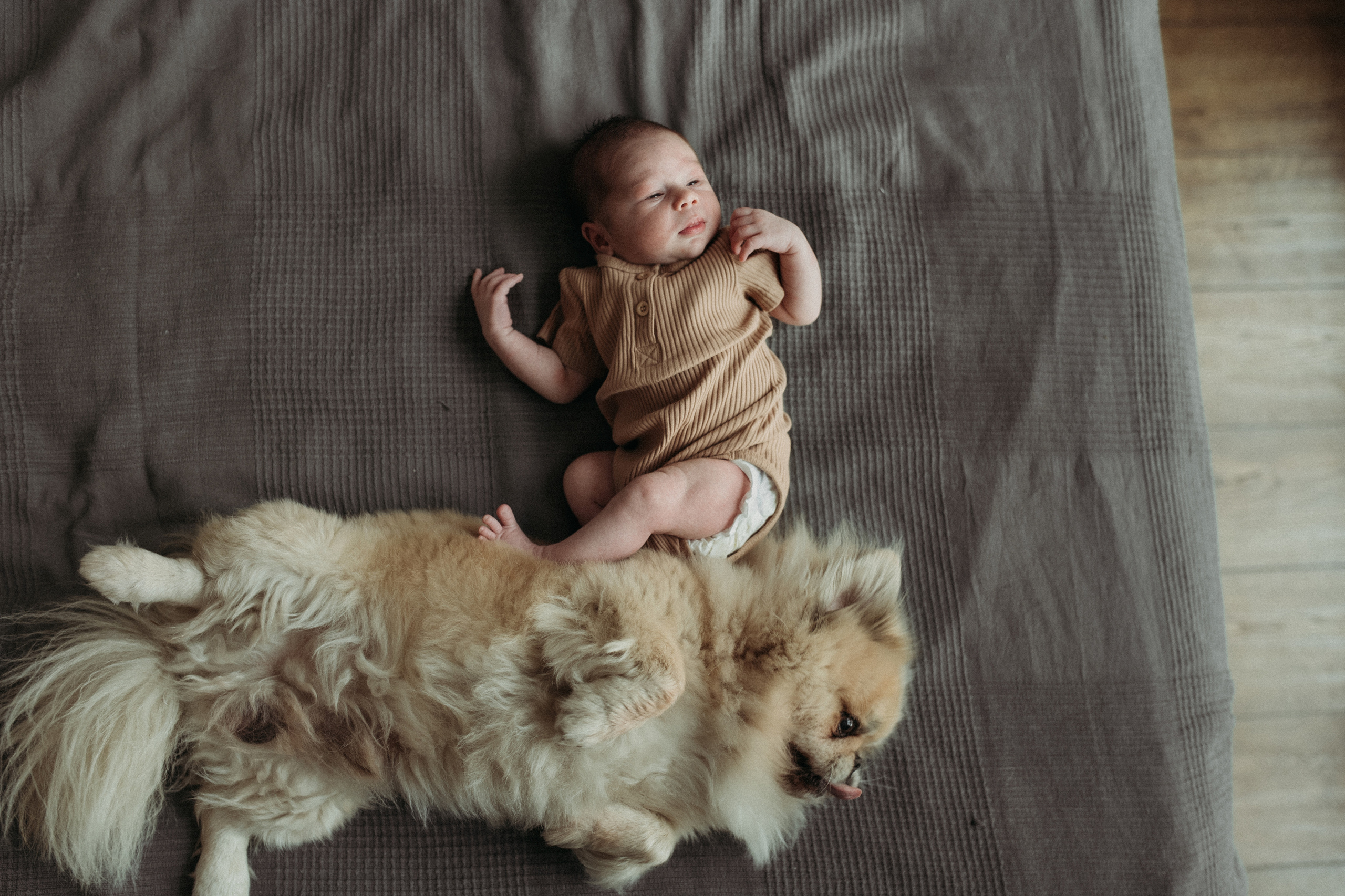 Ирина, Саша, Филипп, Пенни. Www.ostermiller.ru